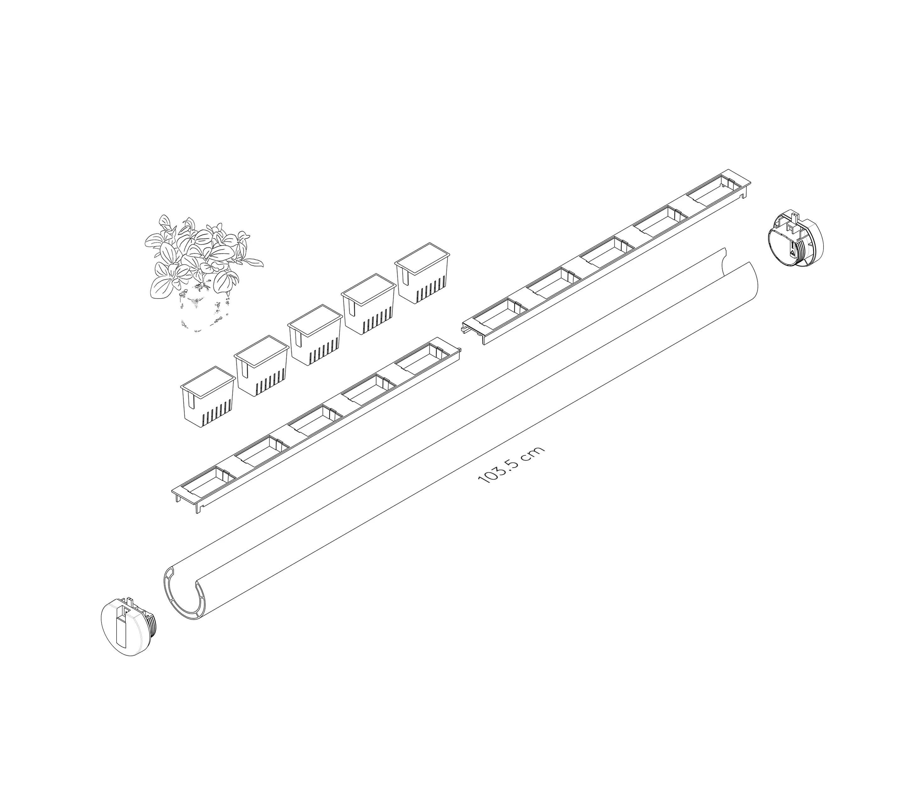 Pendularis - Pendularis