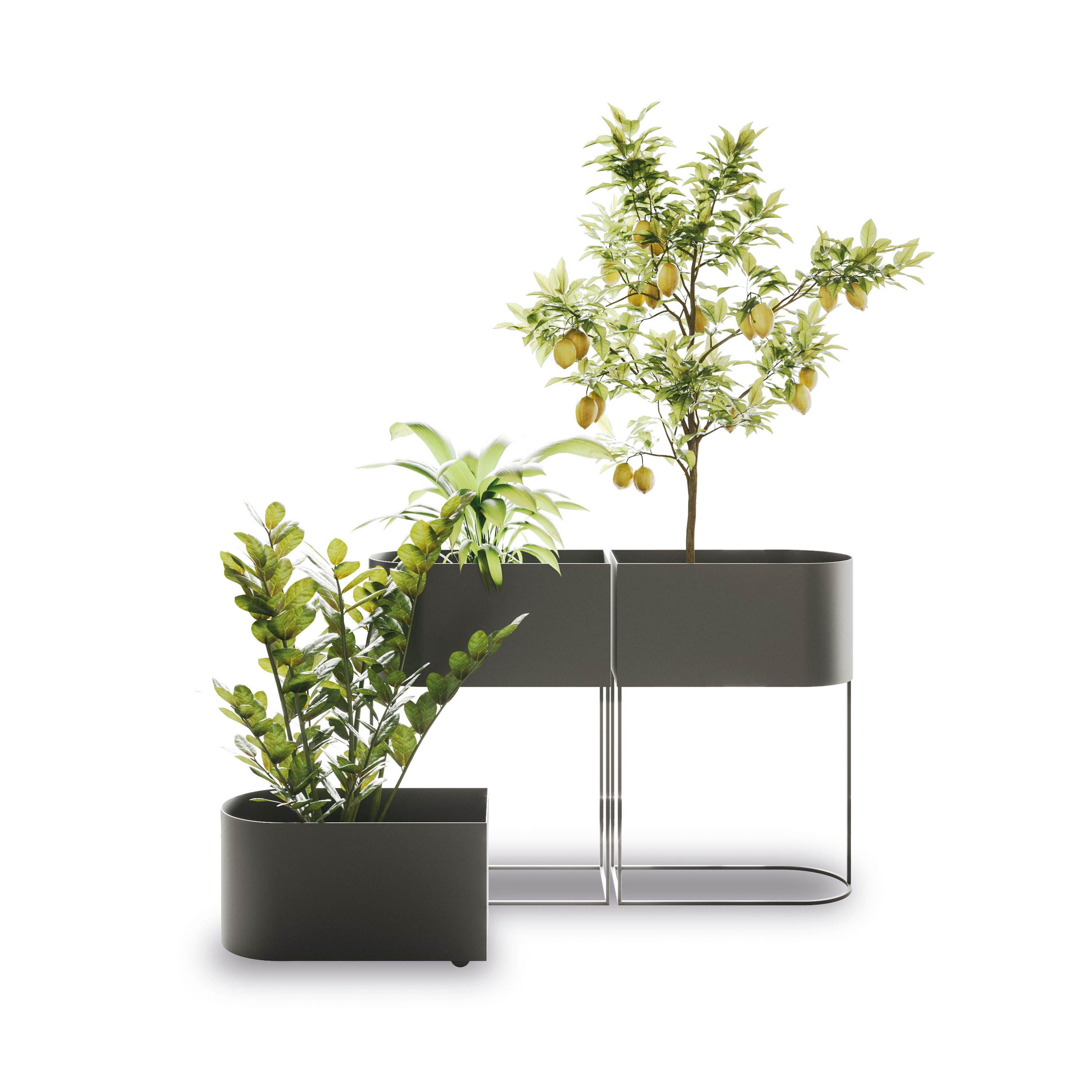 Afficher le produit Wink du fabricant Ronda design