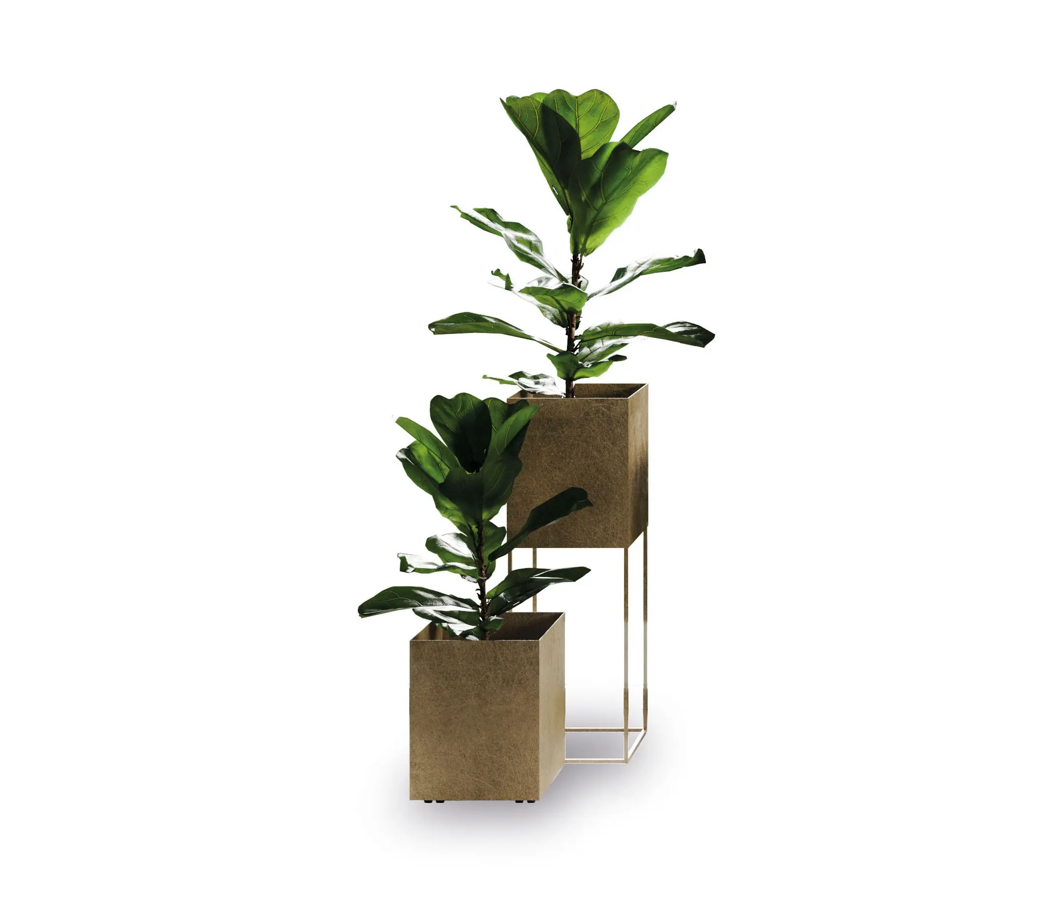 Ronda design - Wink