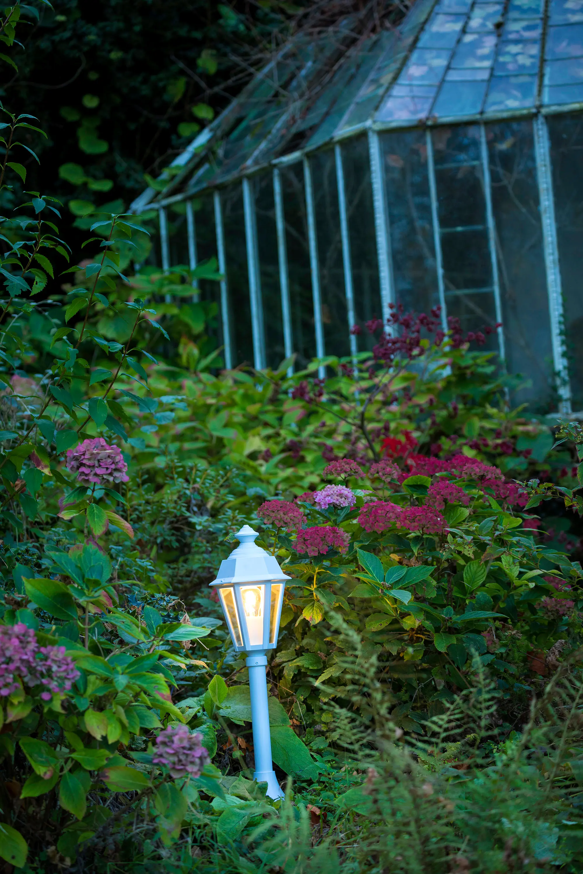 Roger Pradier - Monaco Model 8