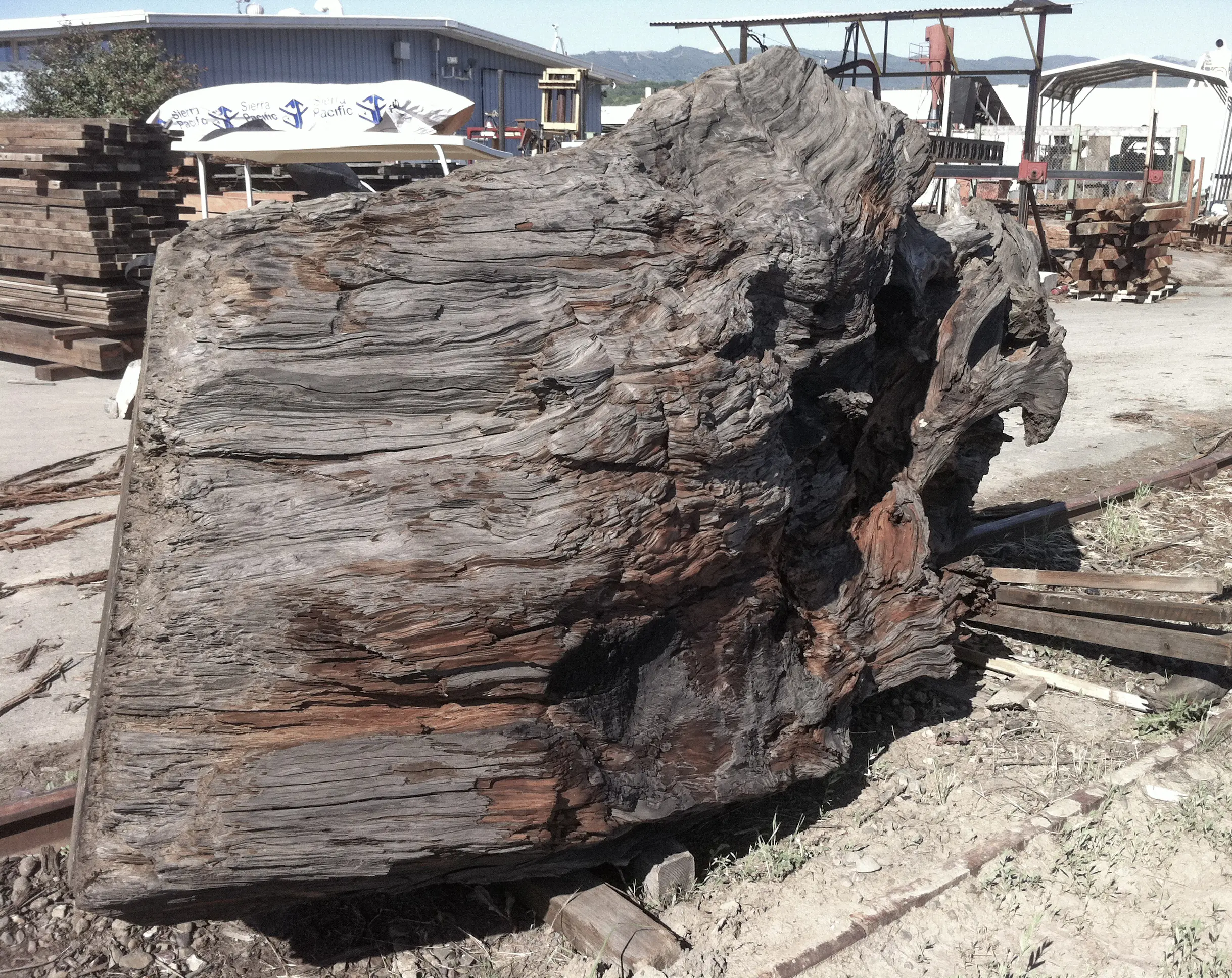 STACKLAB - Square Cut Burl Series