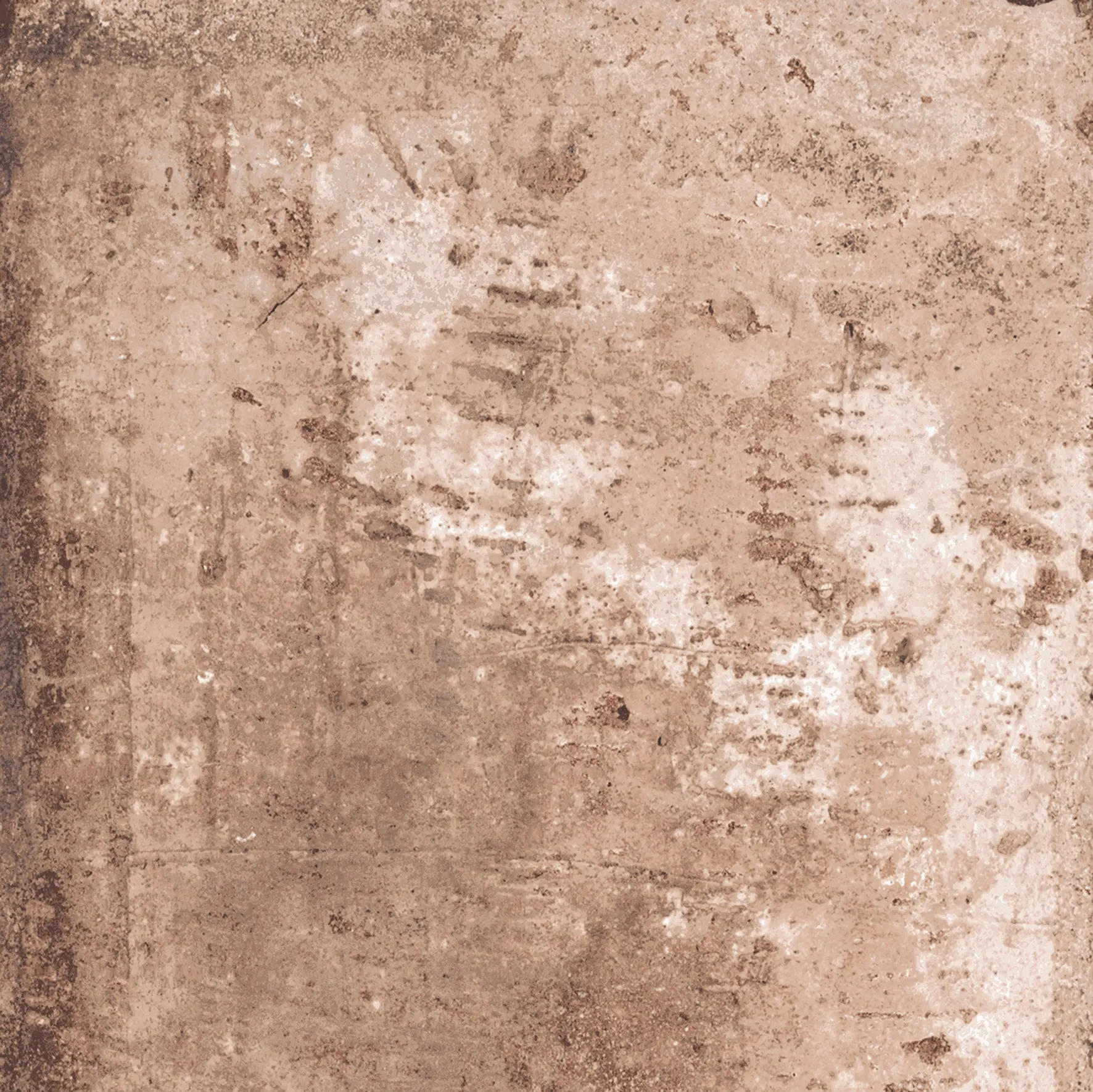Rondine - Bristol Rust