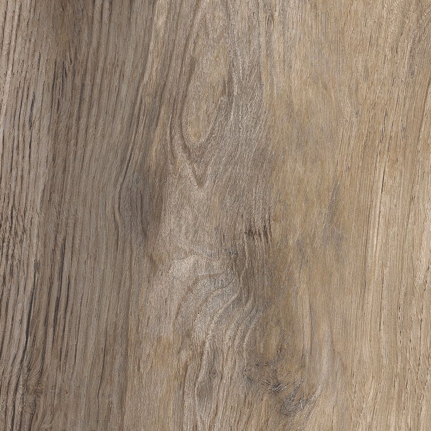 Vertoon produk Ever Brown van vervaardiger Rondine