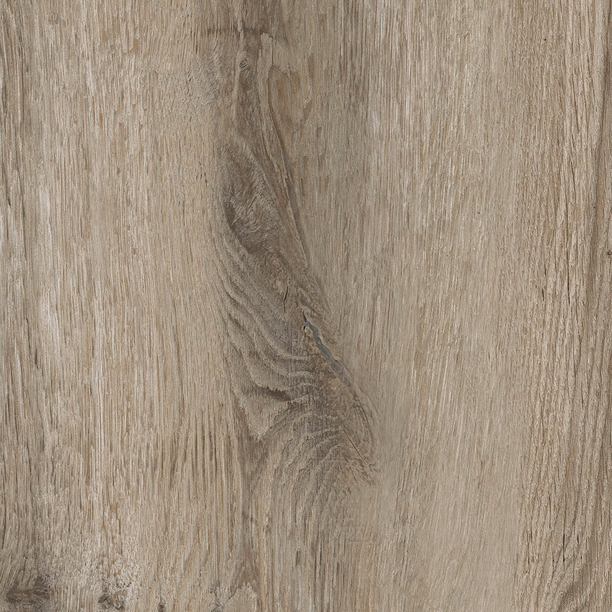 Vertoon produk Ever Olive van vervaardiger Rondine