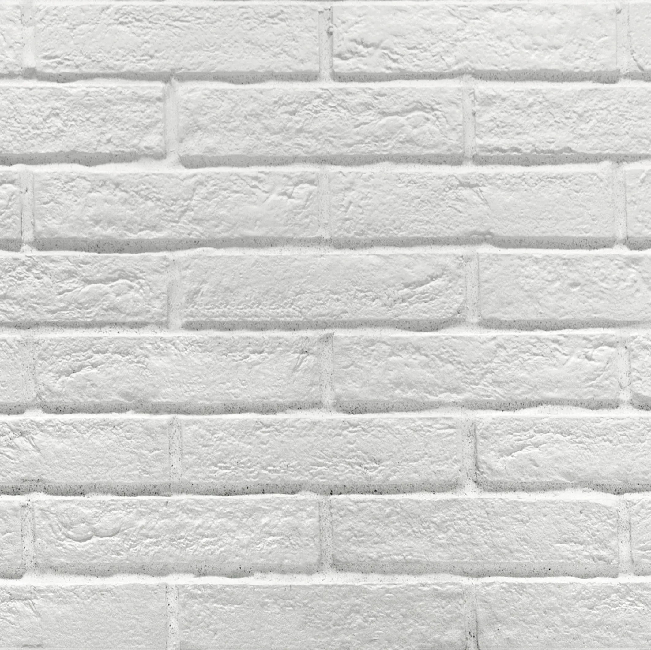 Rondine - New York White
