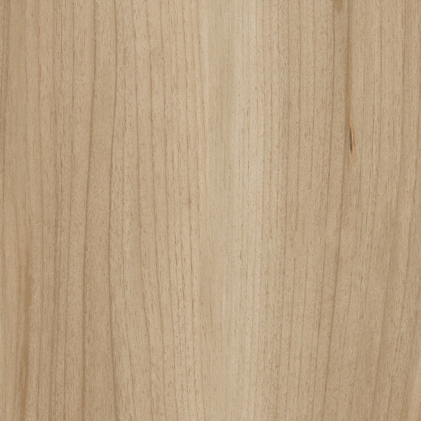 Vertoon produk Woodie Beige van vervaardiger Rondine
