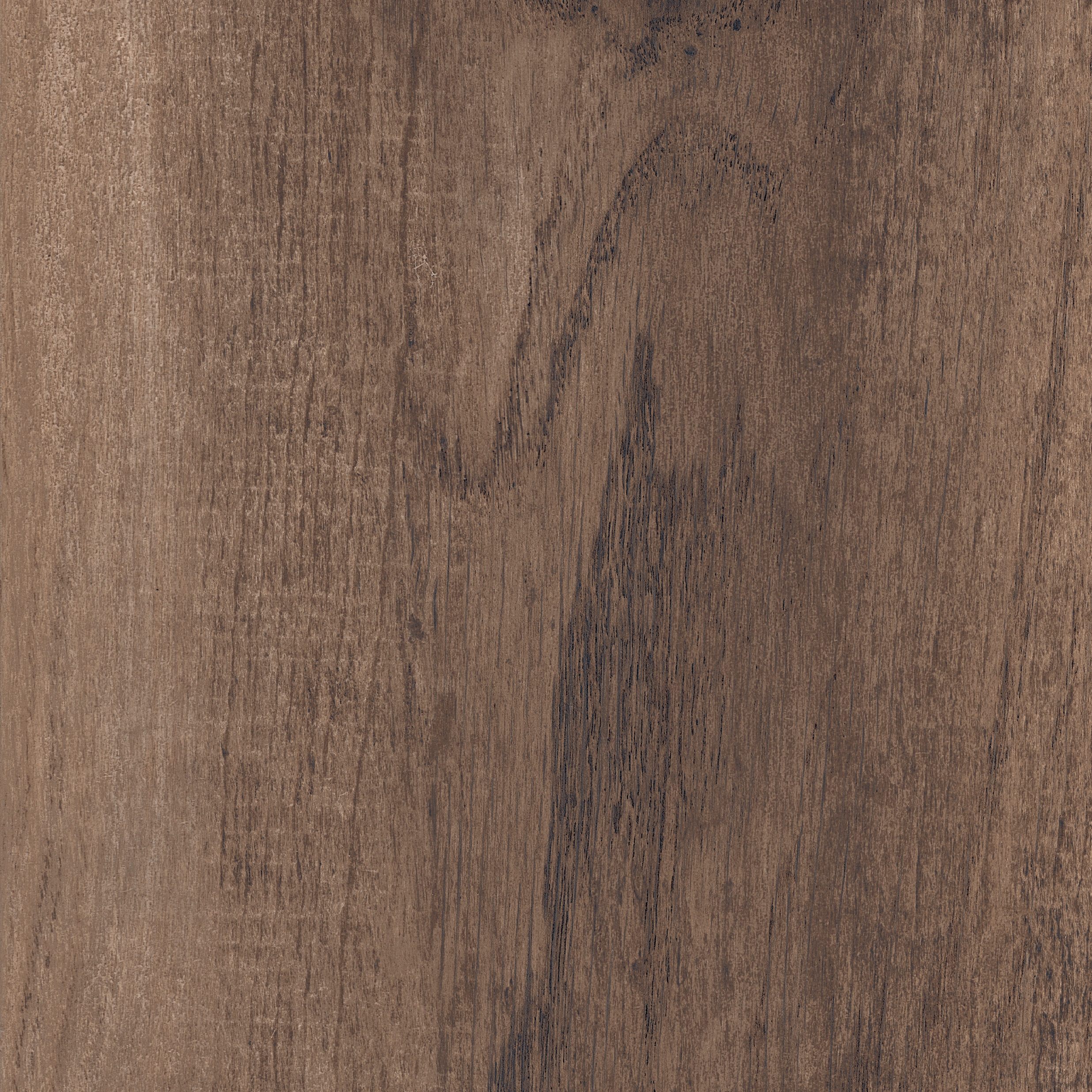Aspen Brown