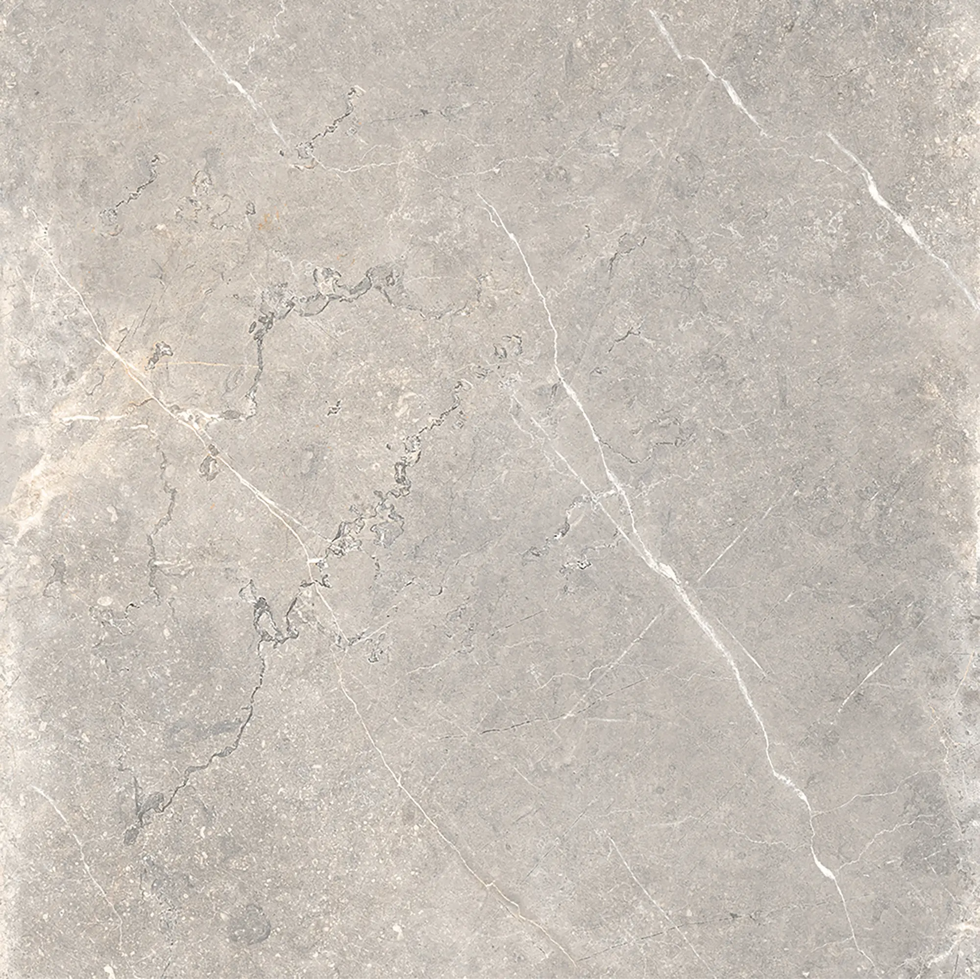 Rondine - Canova Carnico