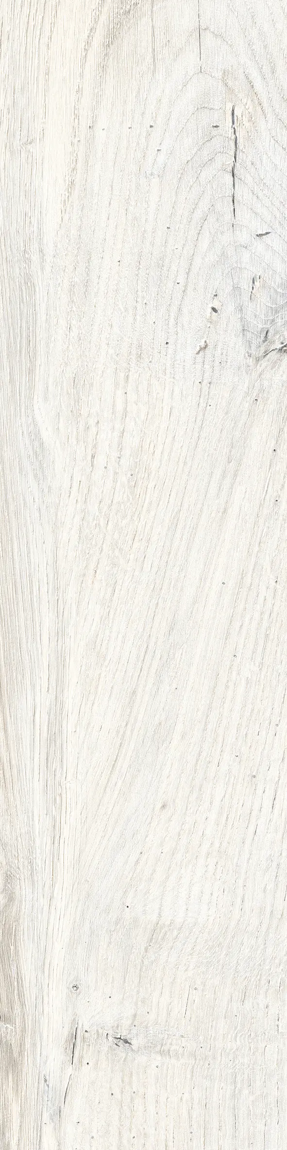 Rondine - Daring Ivory | B Slim