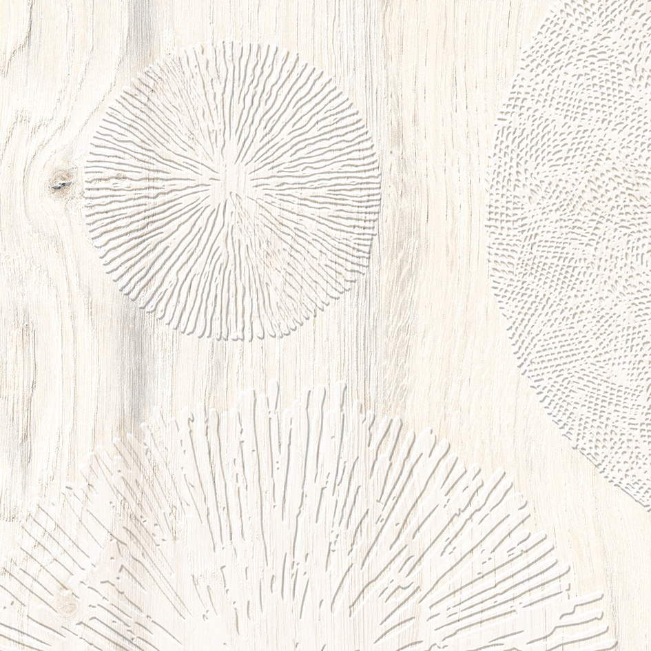 Display product Daring Ivory | Infinity from manufacturer Rondine