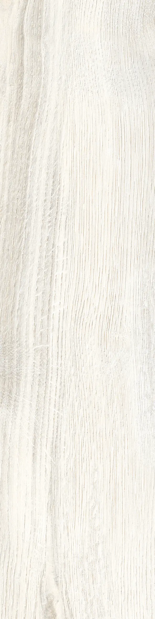 Rondine - Daring Ivory | Strong