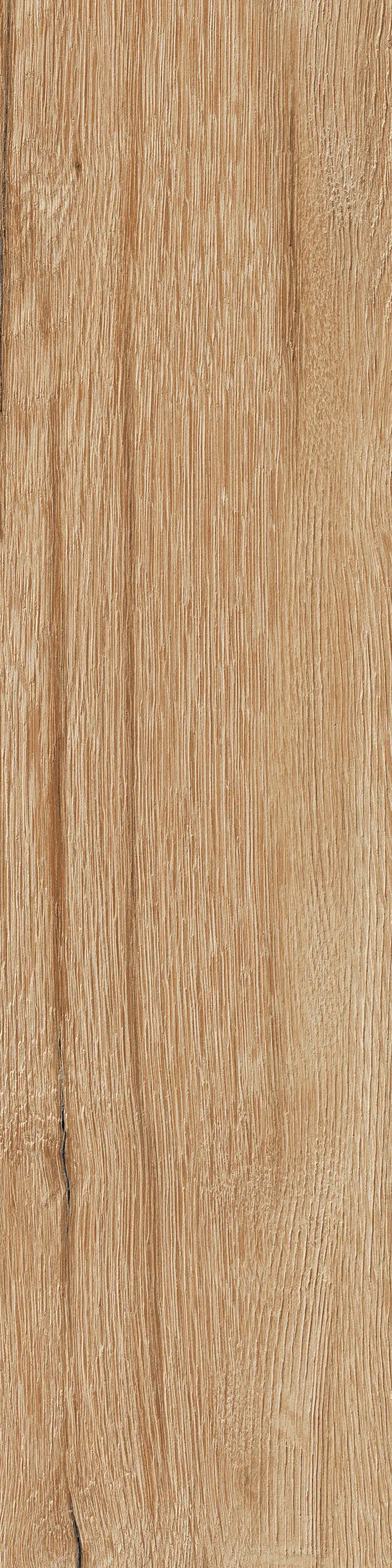 Rondine - Daring Nut