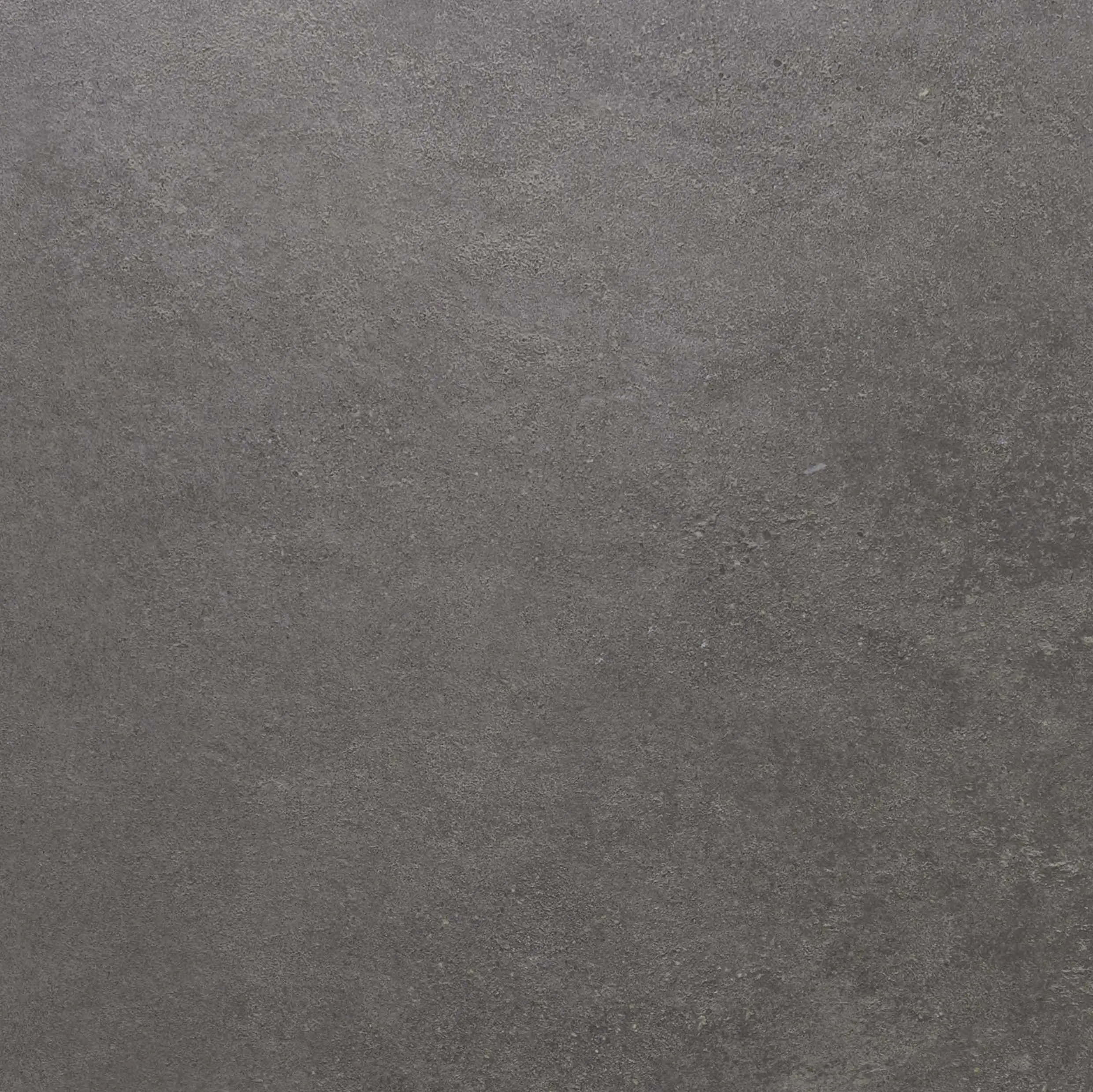 Rondine - Loft Dark