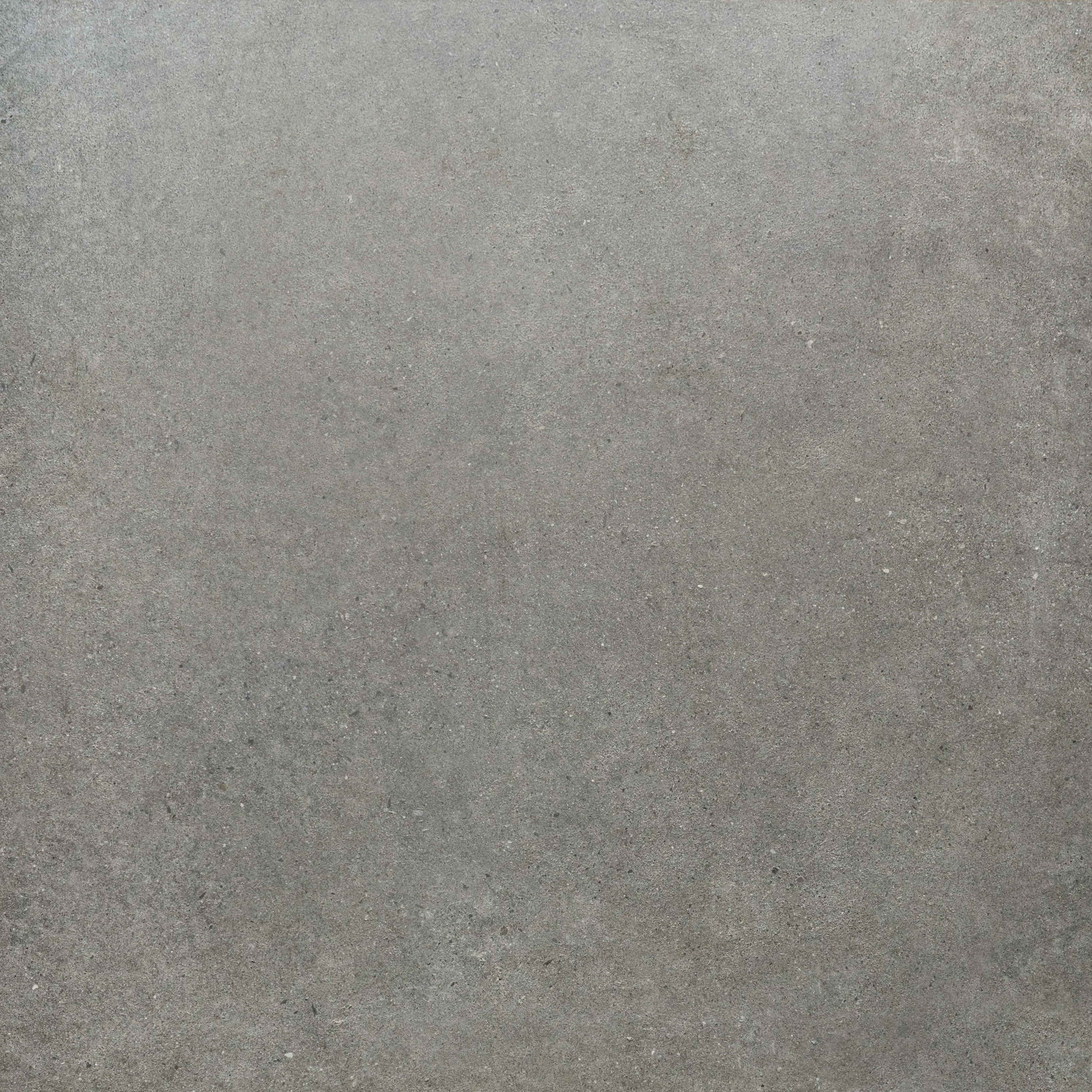 Rondine - Loft Grey