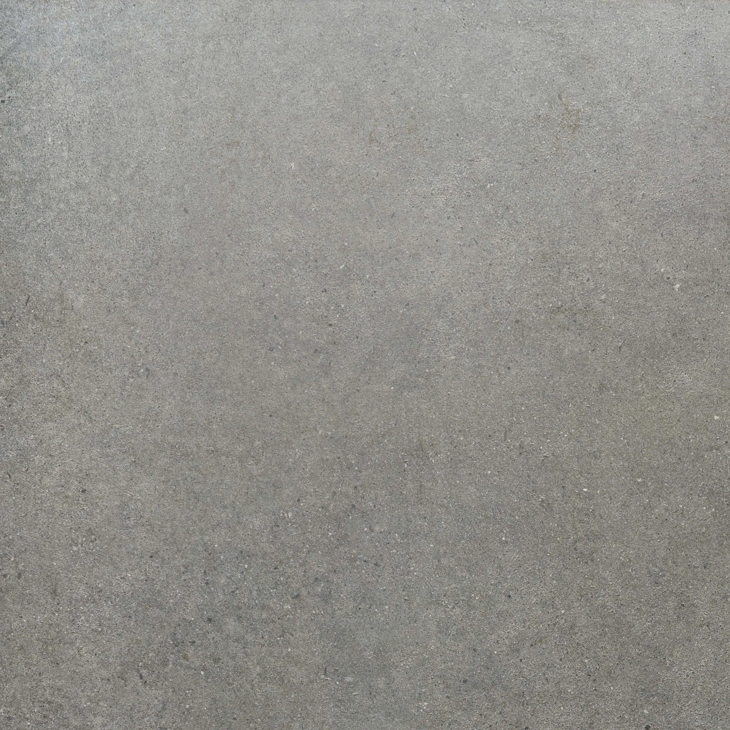 Rondine - Loft Grey
