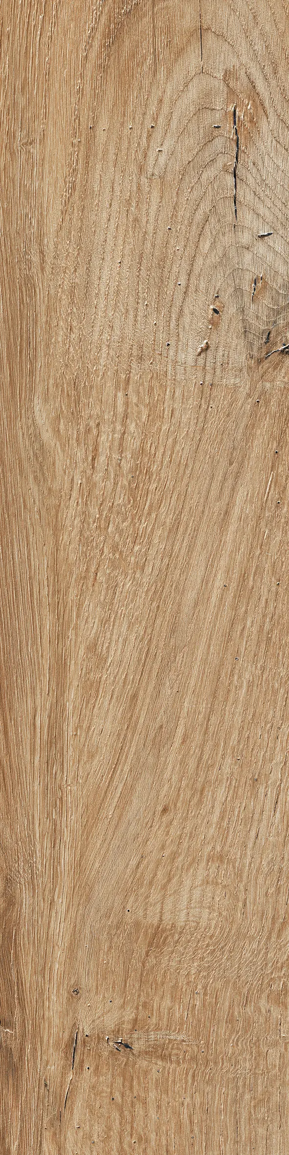 Rondine - Daring Nut | Nut
