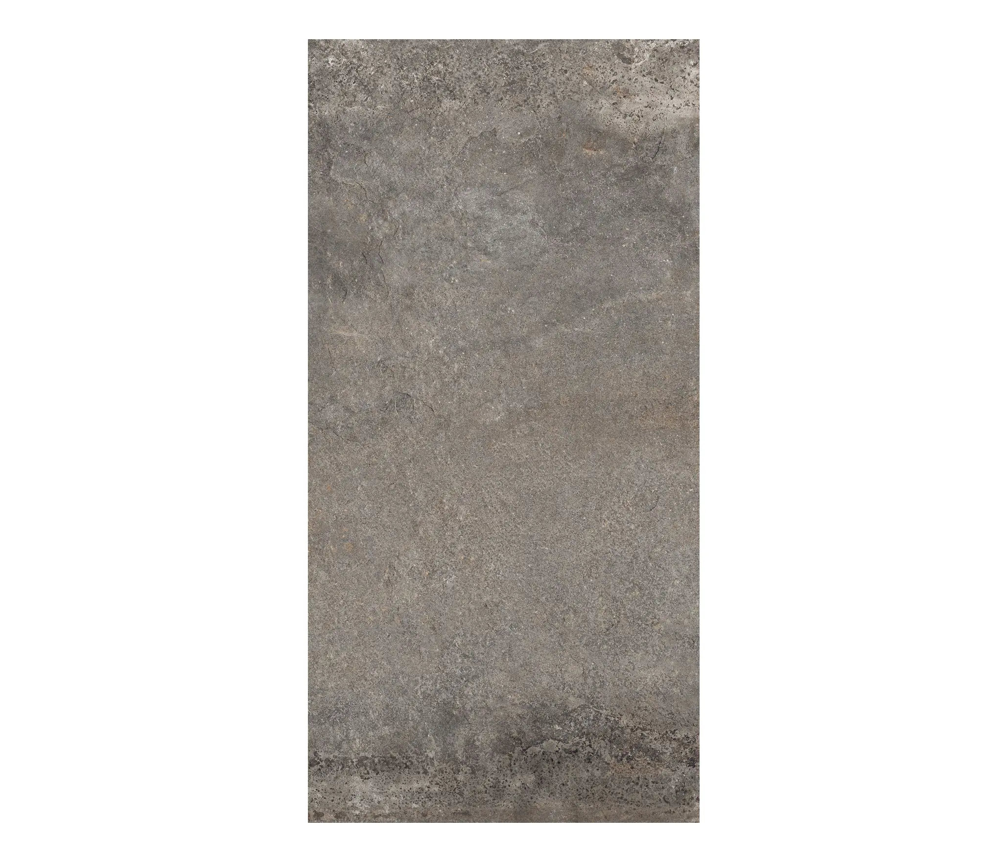 Rondine - Provence Multicolor