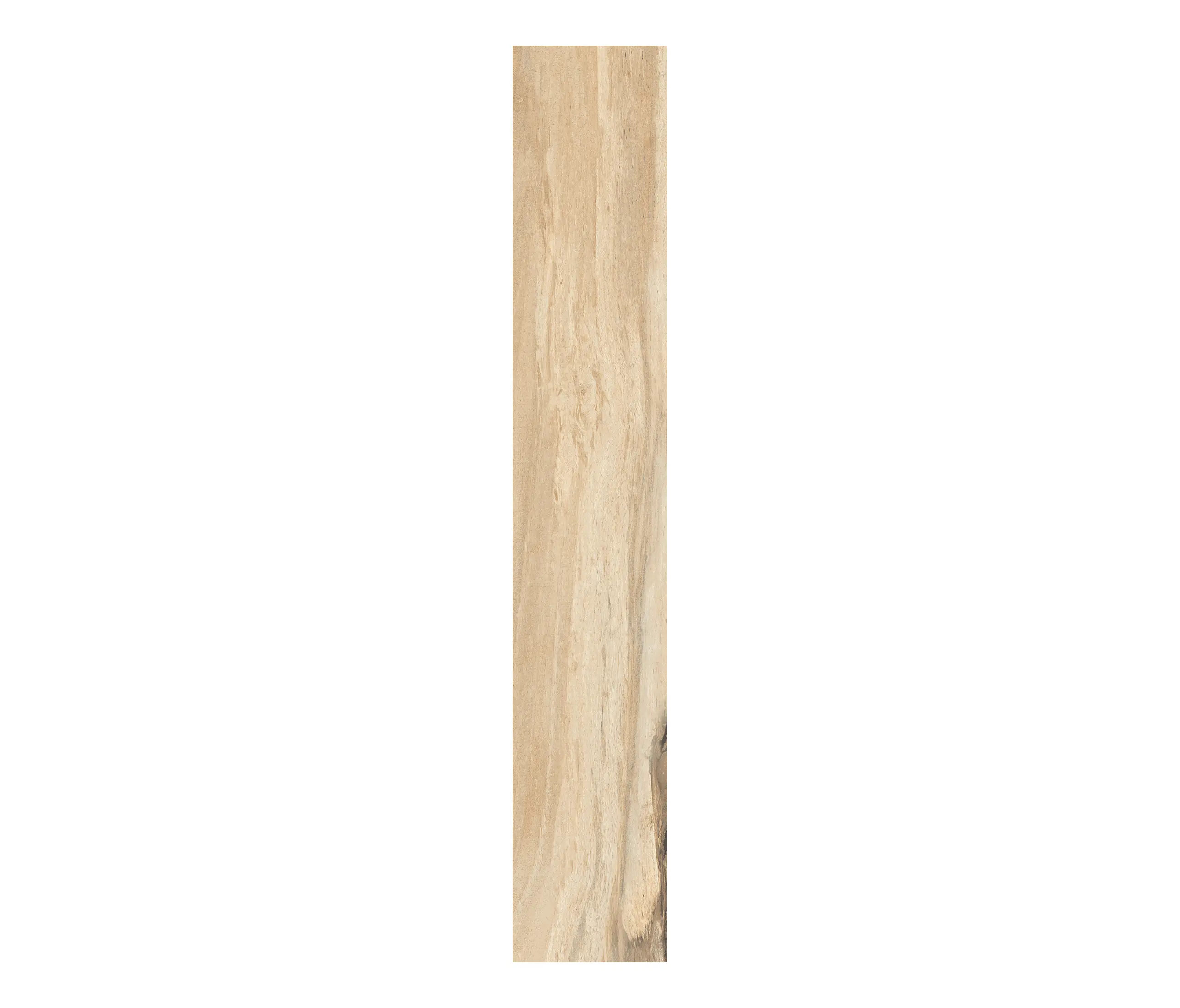 Rondine - Sherwood Maple