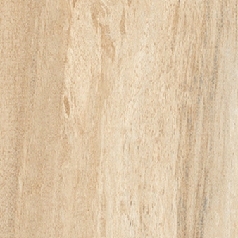 Sherwood Maple
