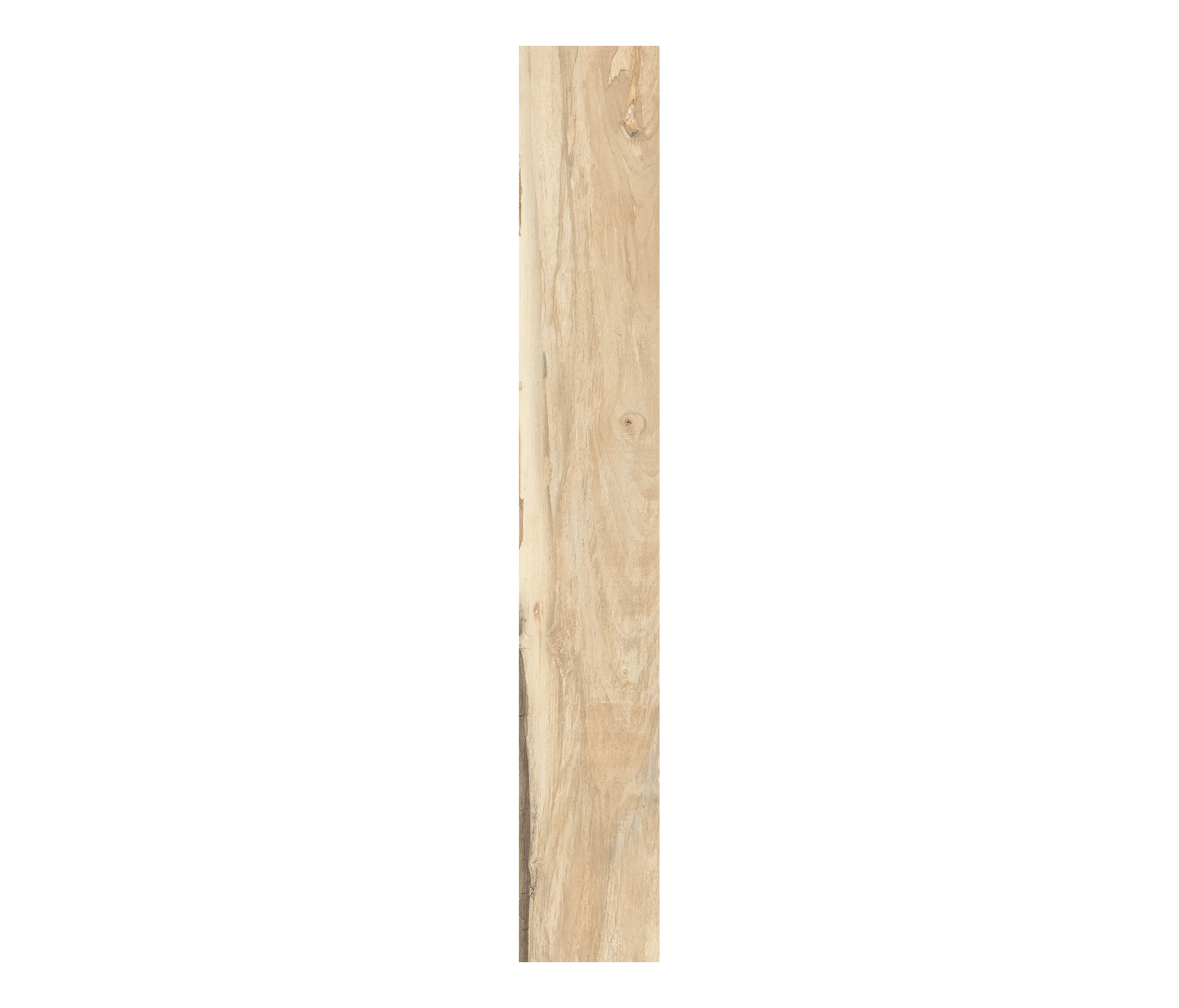 Rondine - Sherwood Maple