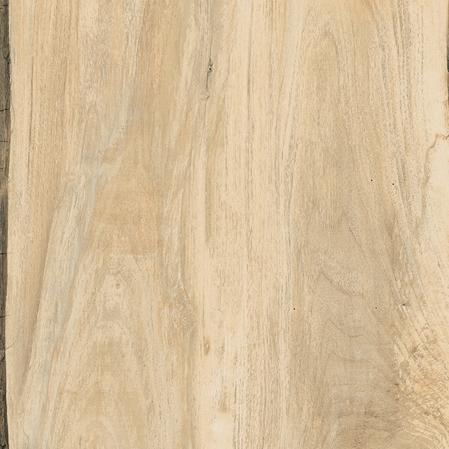 Vertoon produk Sherwood Maple H20 van vervaardiger Rondine