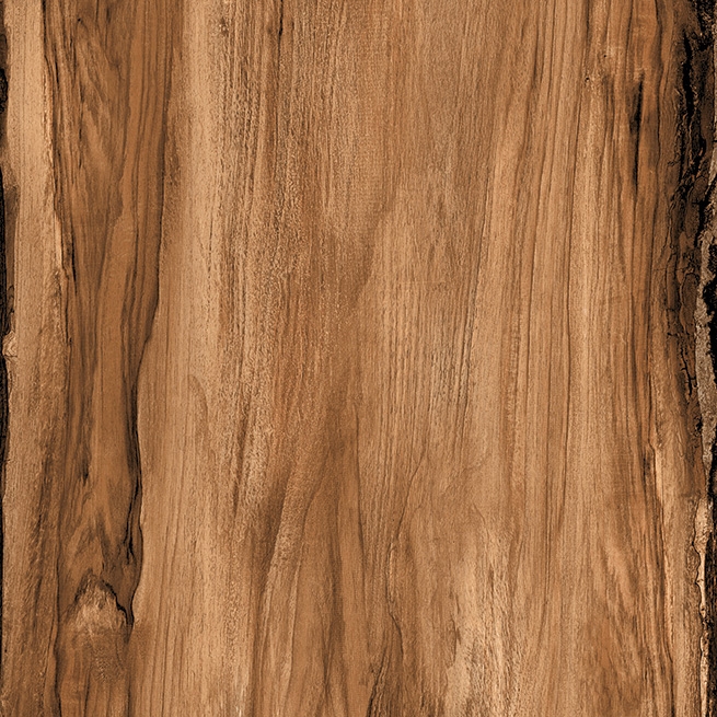 Sherwood Walnut H20