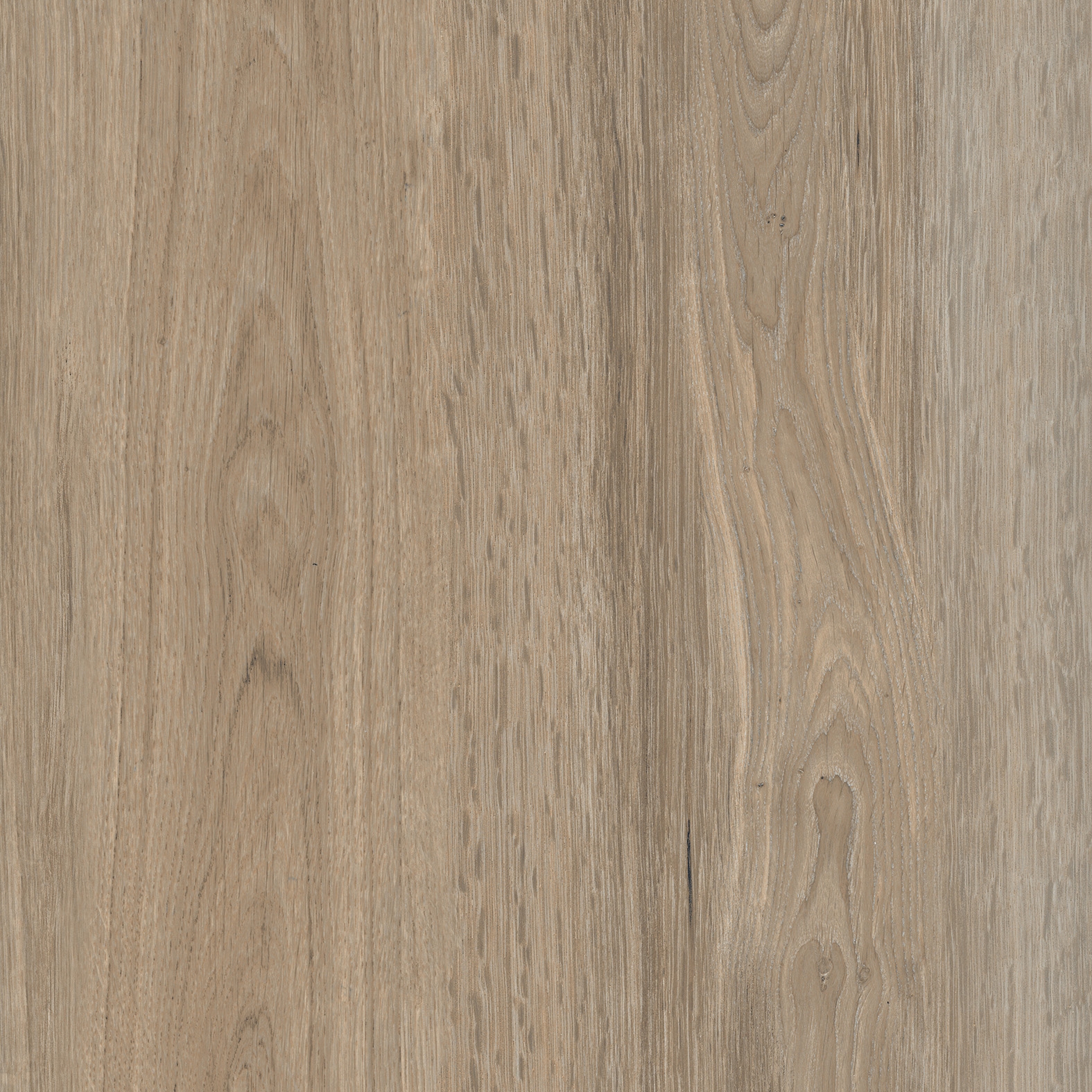 Produkt Timeless Greige H20 des Herstellers Rondine anzeigen