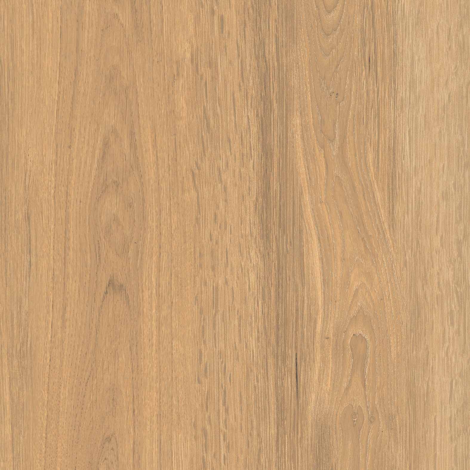 Timeless Honey H20