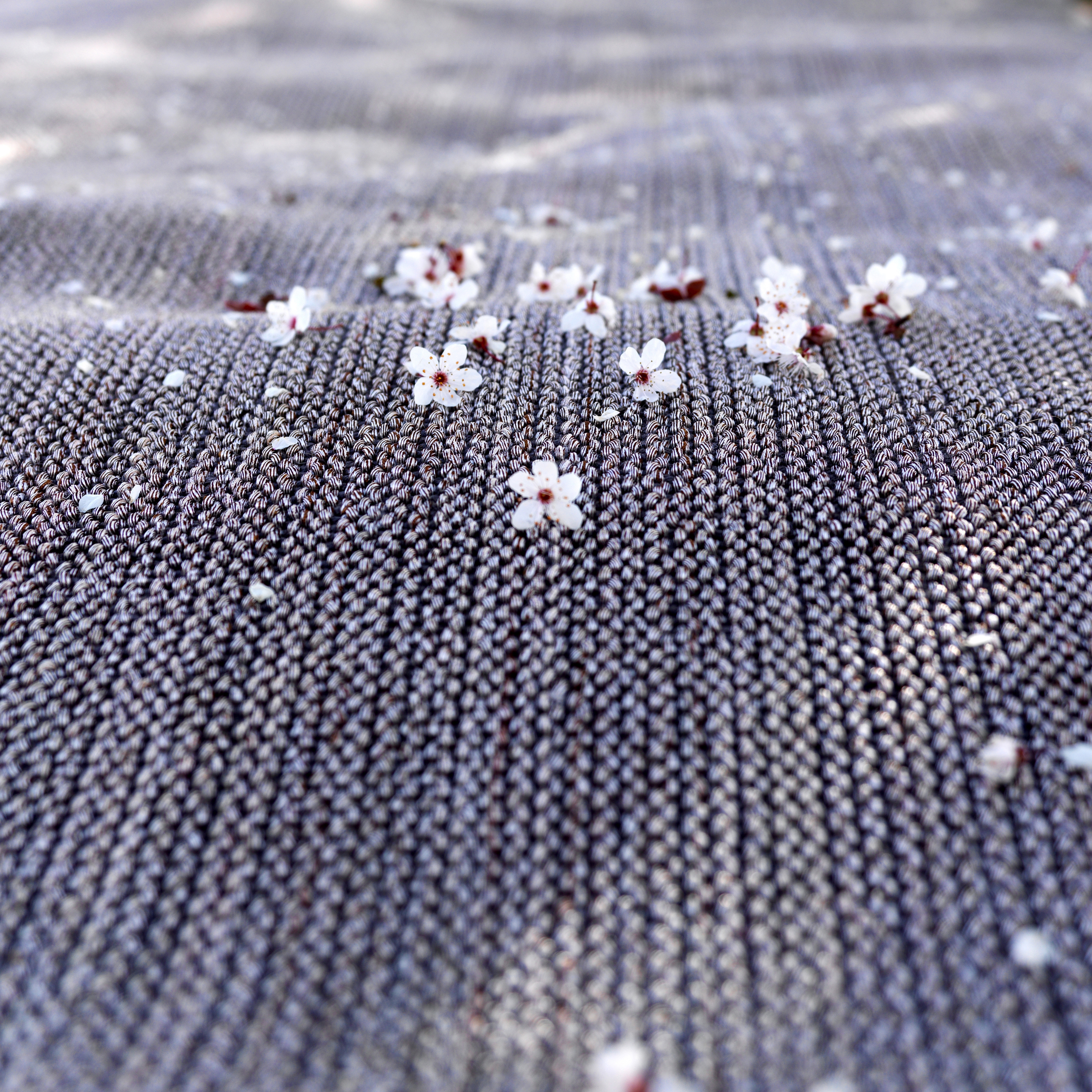 PERFORMING AND ELEGANT RUGS