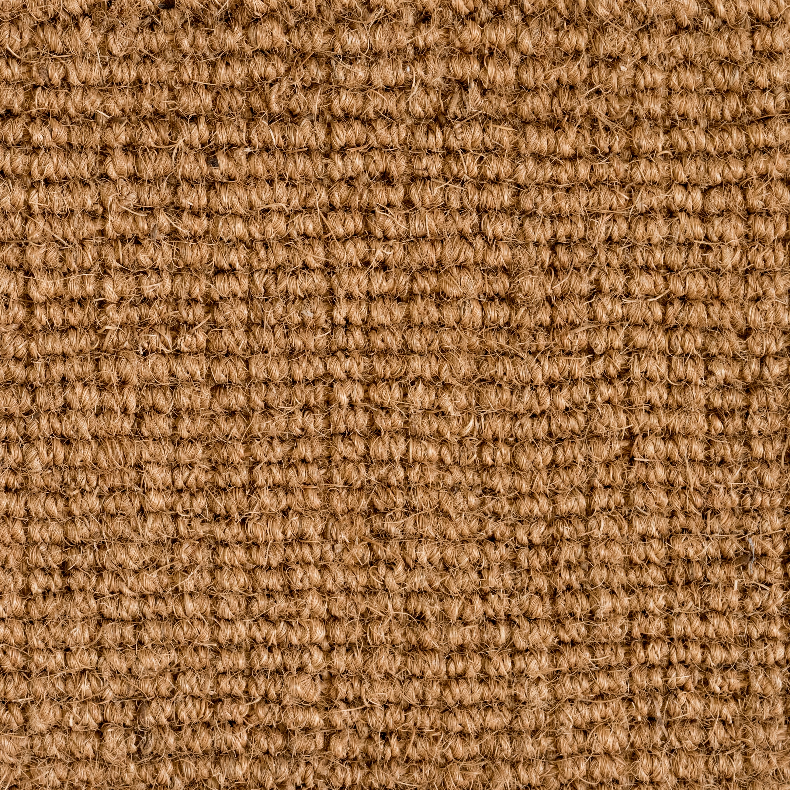 Display product Coconutrug Naturale from manufacturer G.T.DESIGN