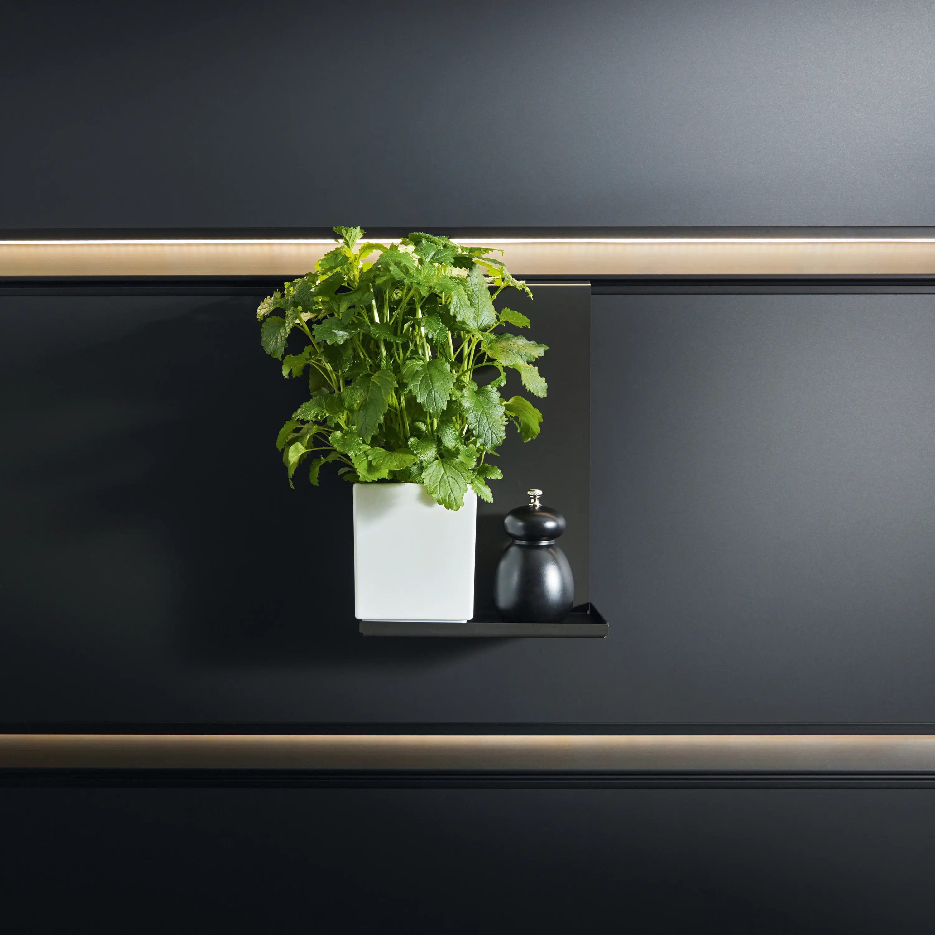 next125 - next125 cube Storage shelf