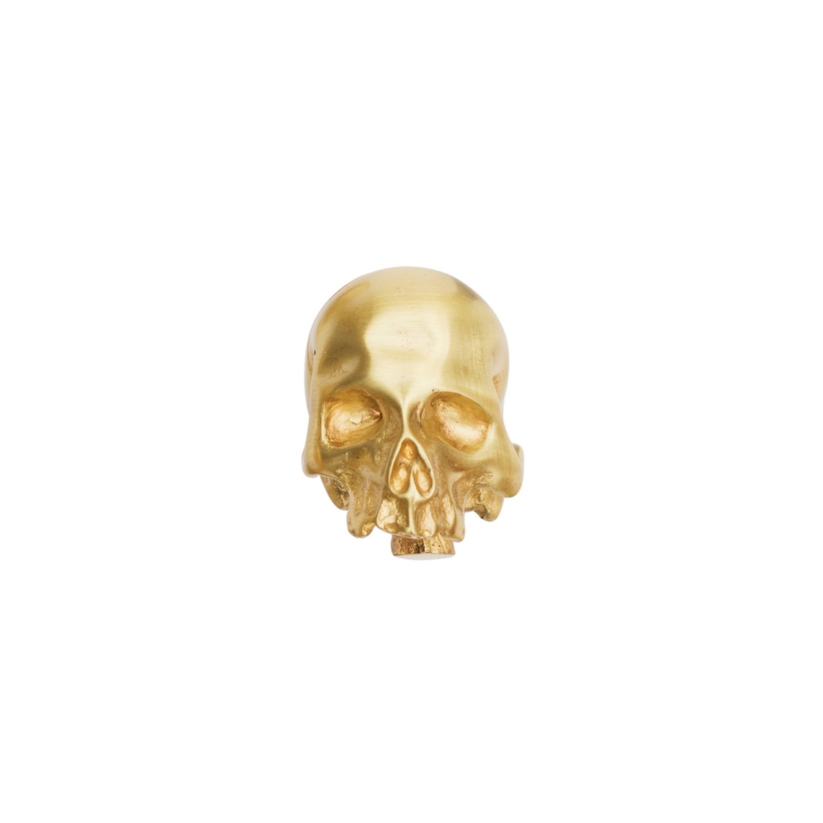 Display product Memento Mori Furniture Knob from manufacturer Vervloet