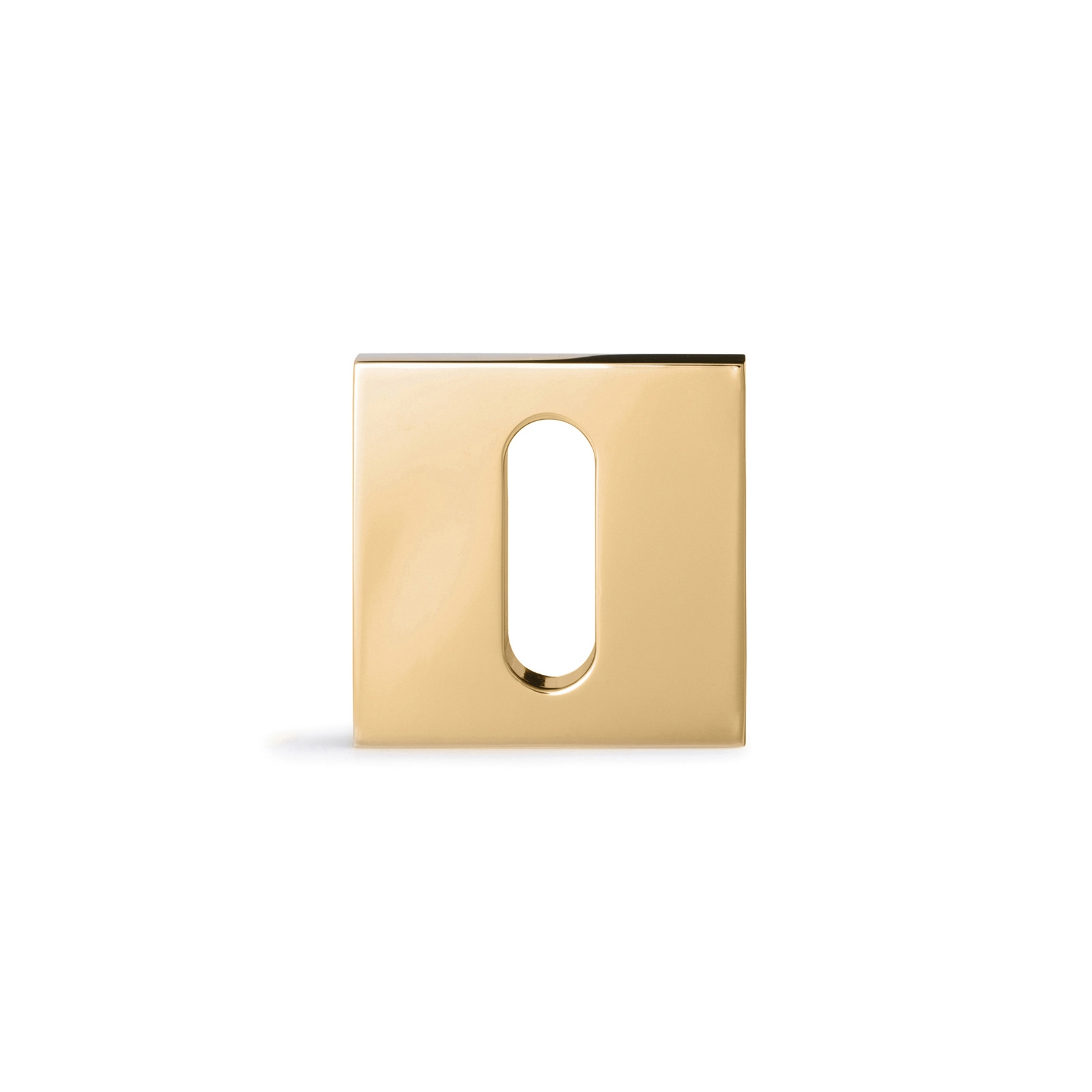 Display product Phyllibert Escutcheon key from manufacturer Vervloet