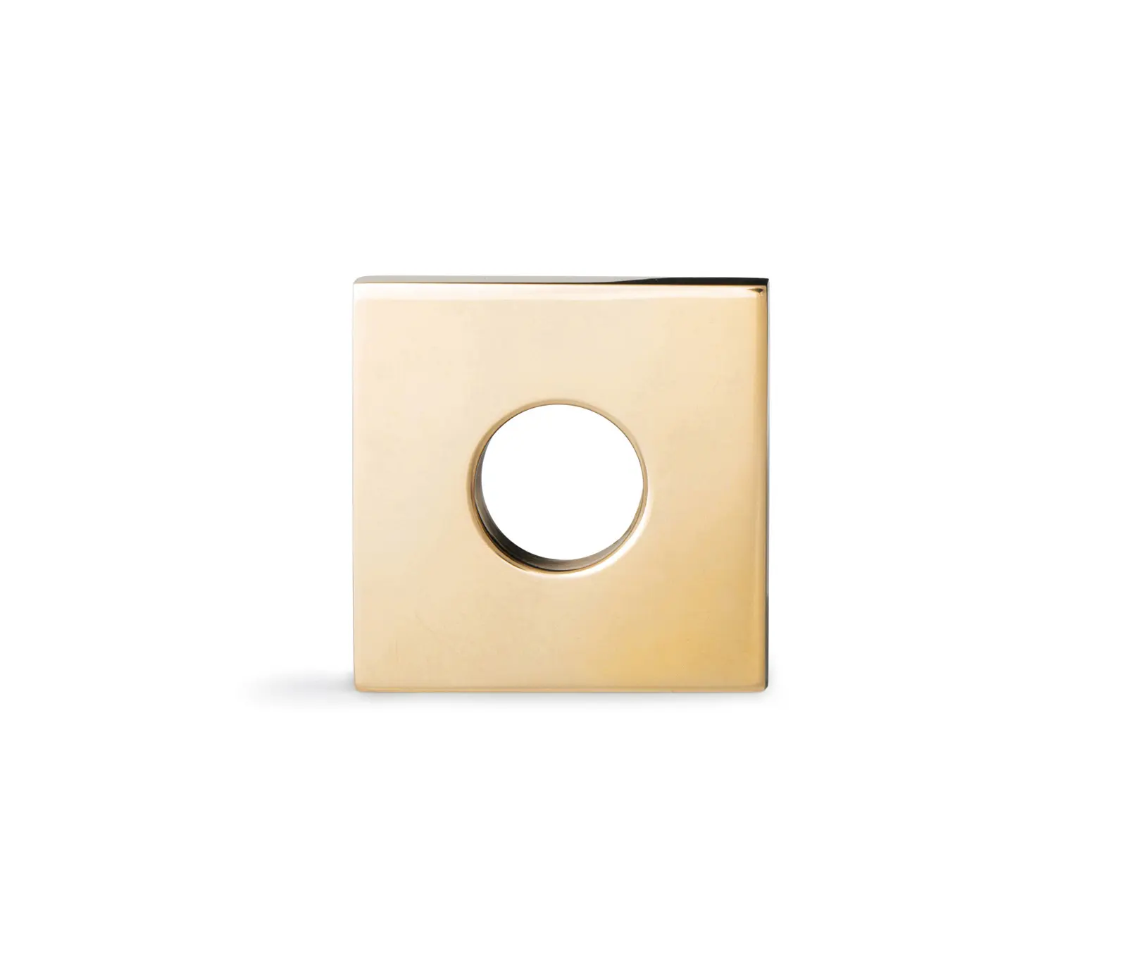 Vervloet - Phyllibert Rose