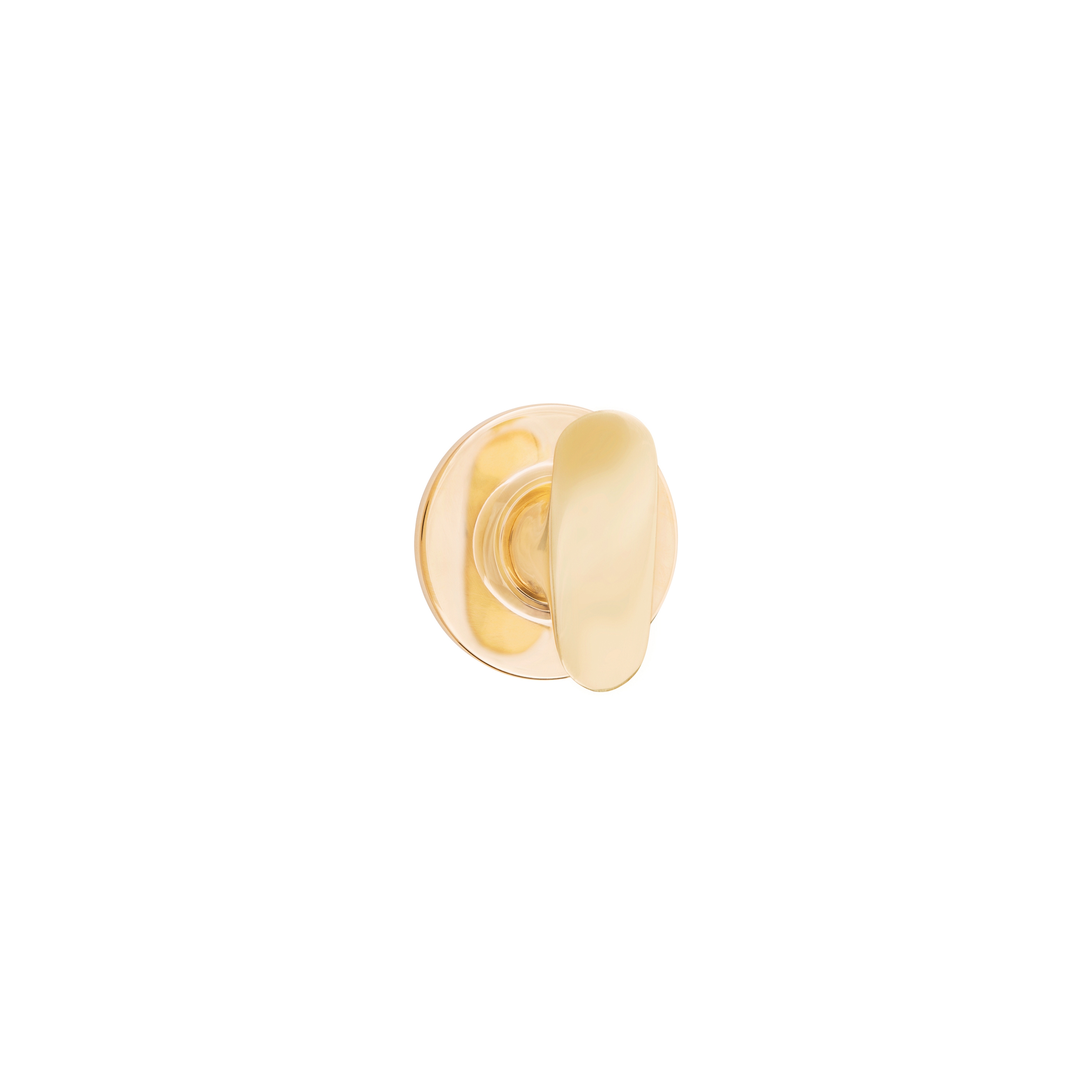 Display product Torna Thumbturn from manufacturer Vervloet