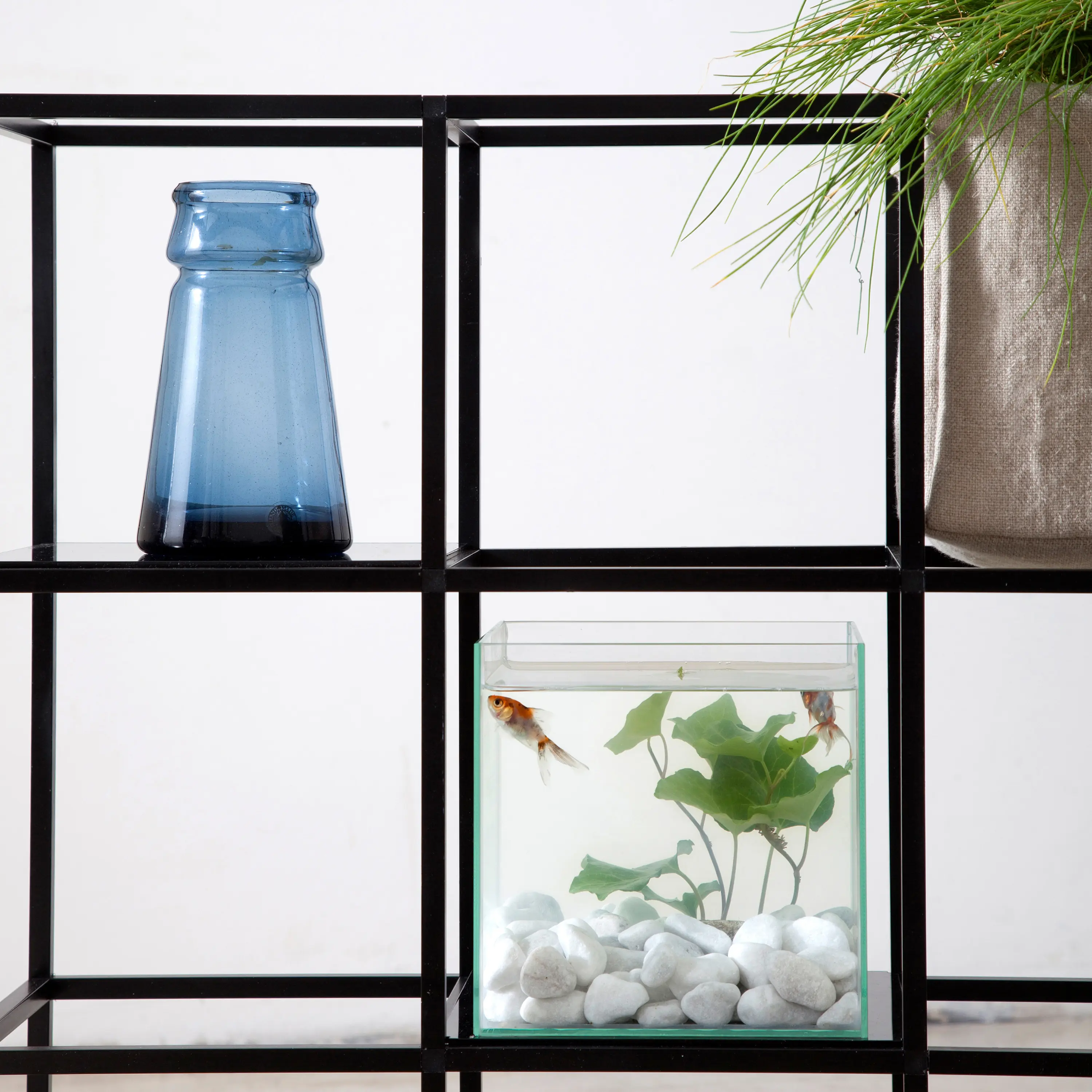 iPot - iPot Shelf