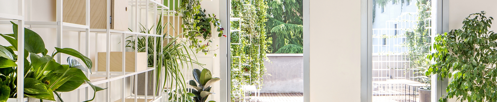 Discover the world of manufacturer iPot