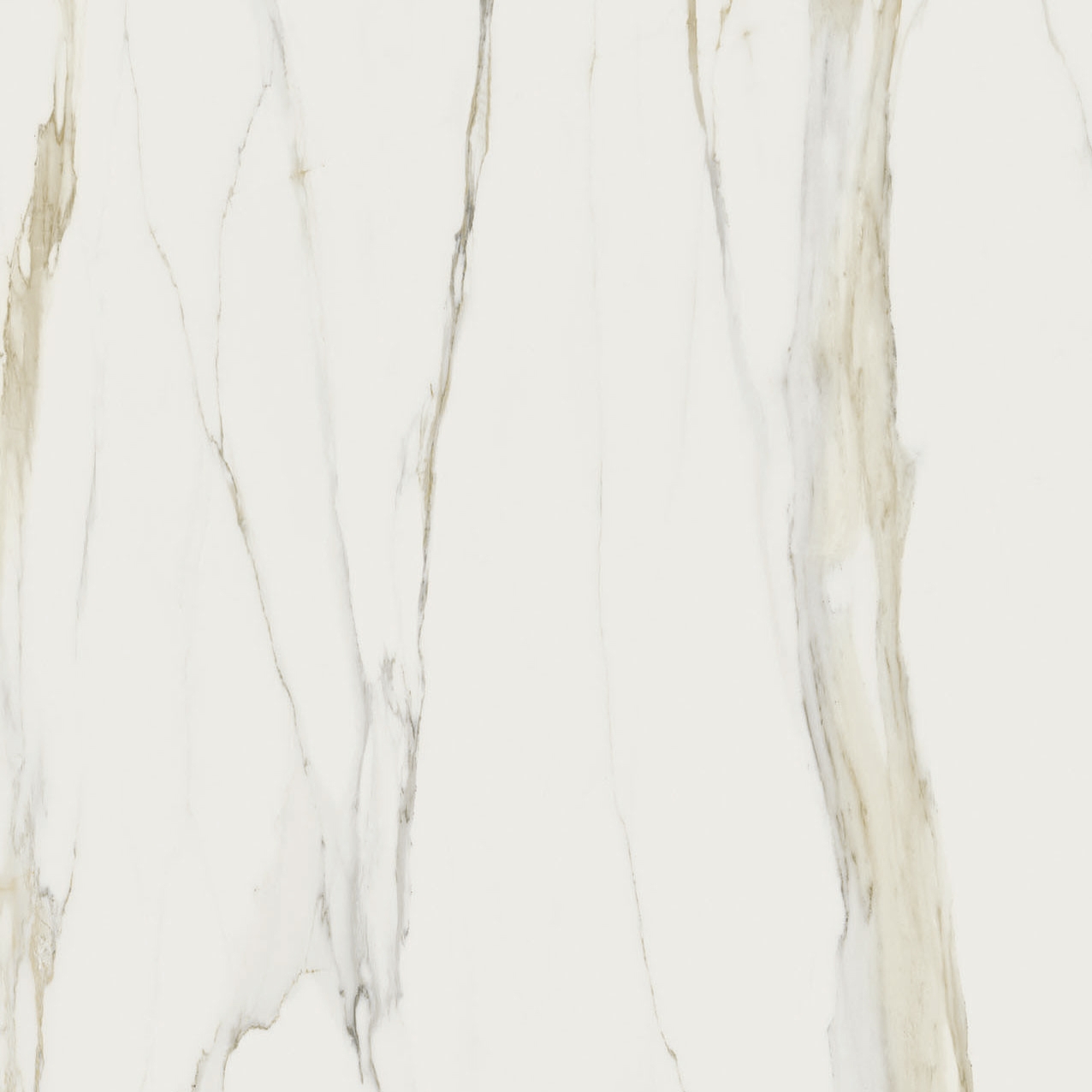 Marble | Calacatta Gold B