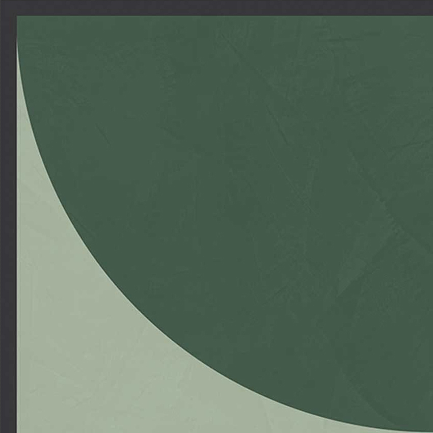 Afficher le produit Policroma | Volta Lichene-Conifera du fabricant FLORIM