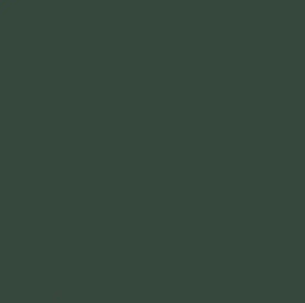 FLORIM - Crayons | Moss