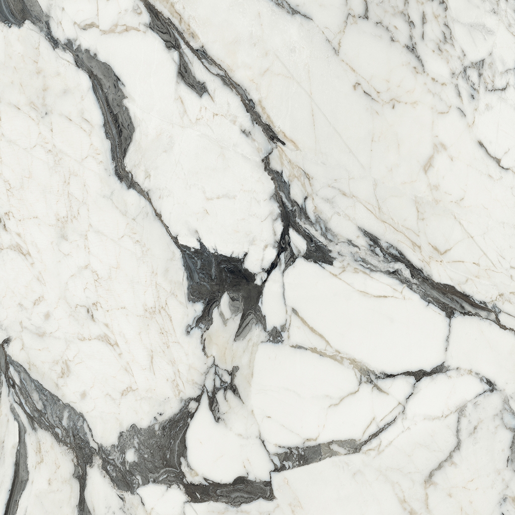 Les Bijoux | Calacatta Altissimo Blanc