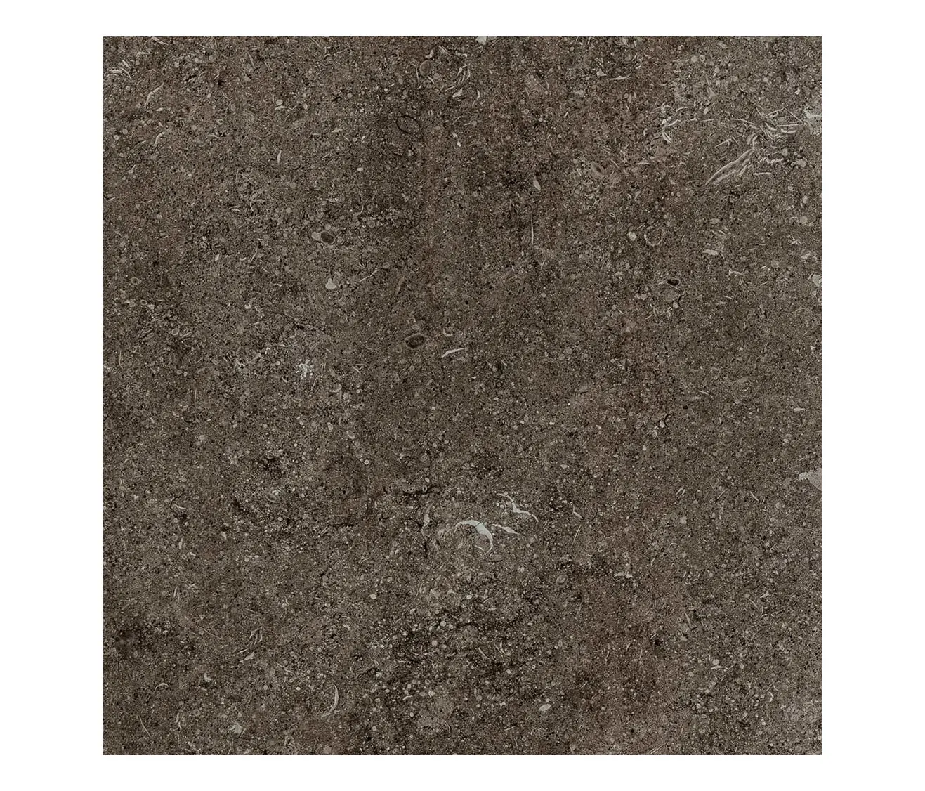 FLORIM - Sensi | Brown fossil