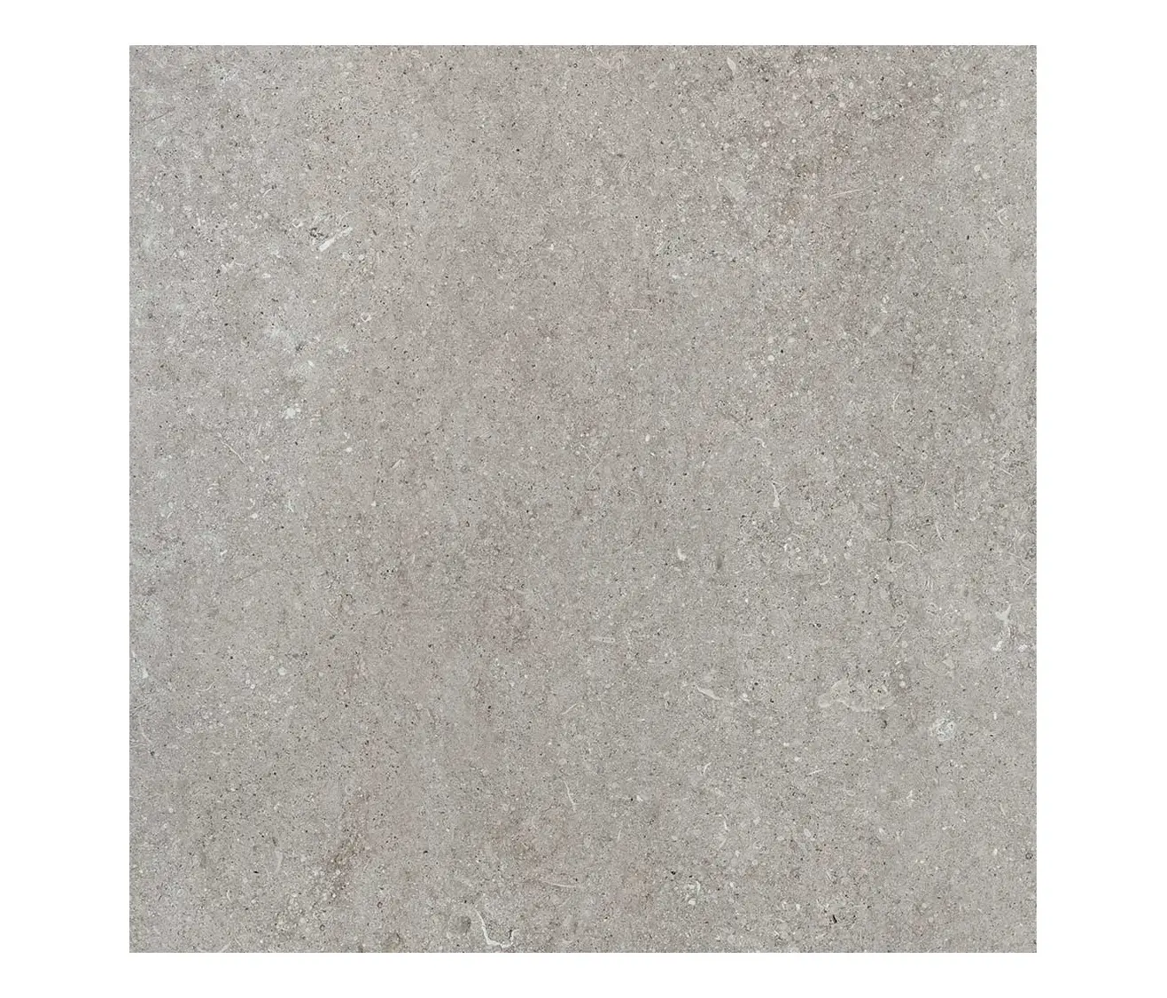 FLORIM - Sensi | Grey fossil