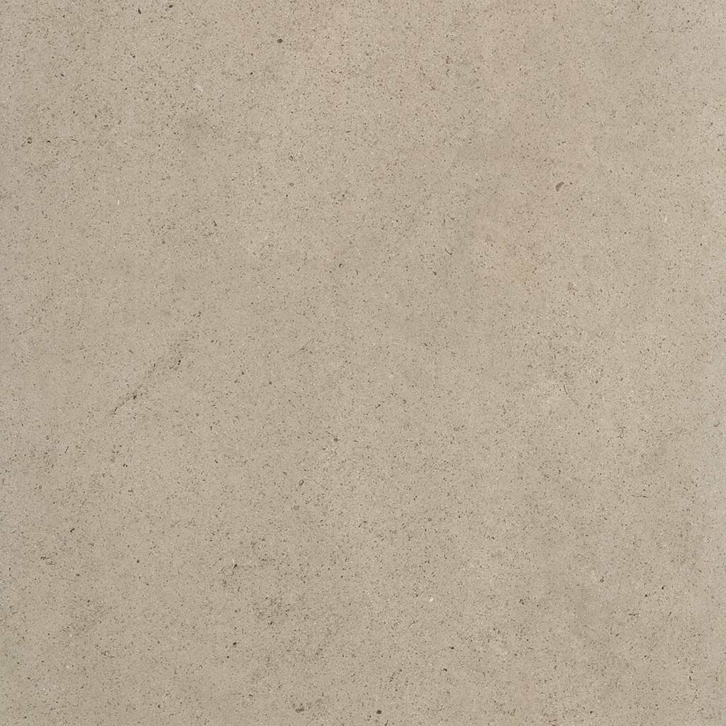 Sensi | Ivory dust