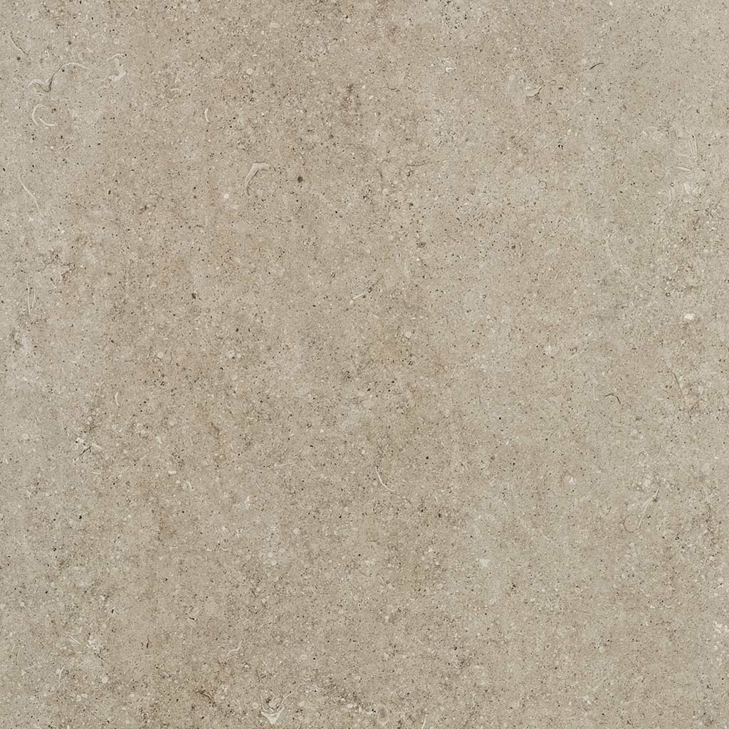 Sensi | Ivory fossil