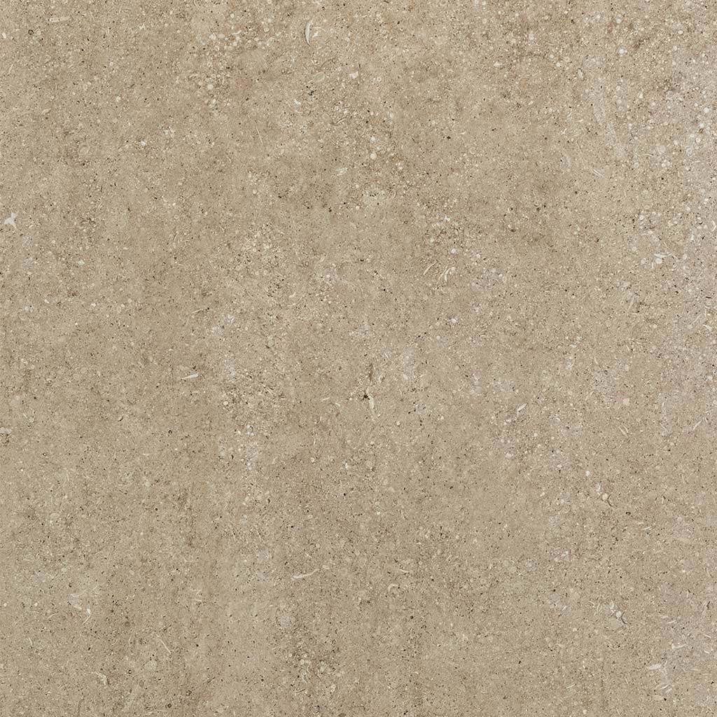 Sensi | Taupe fossil