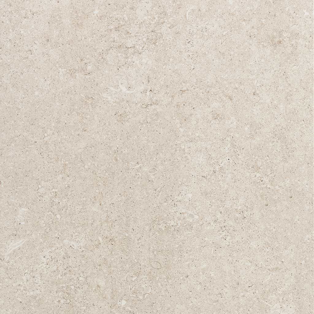 Sensi | White fossil