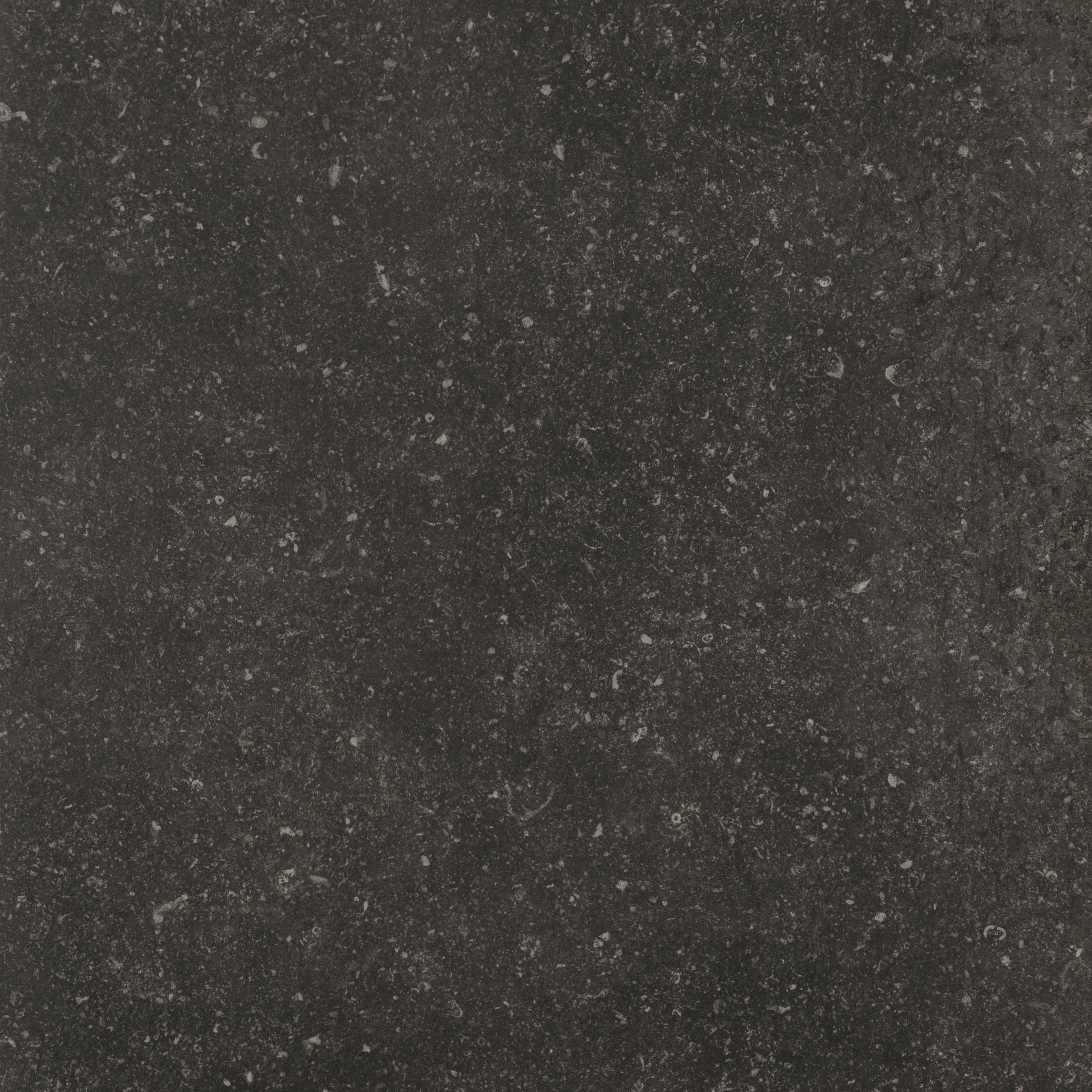 Display product Atmosphères | Mystère from manufacturer FLORIM