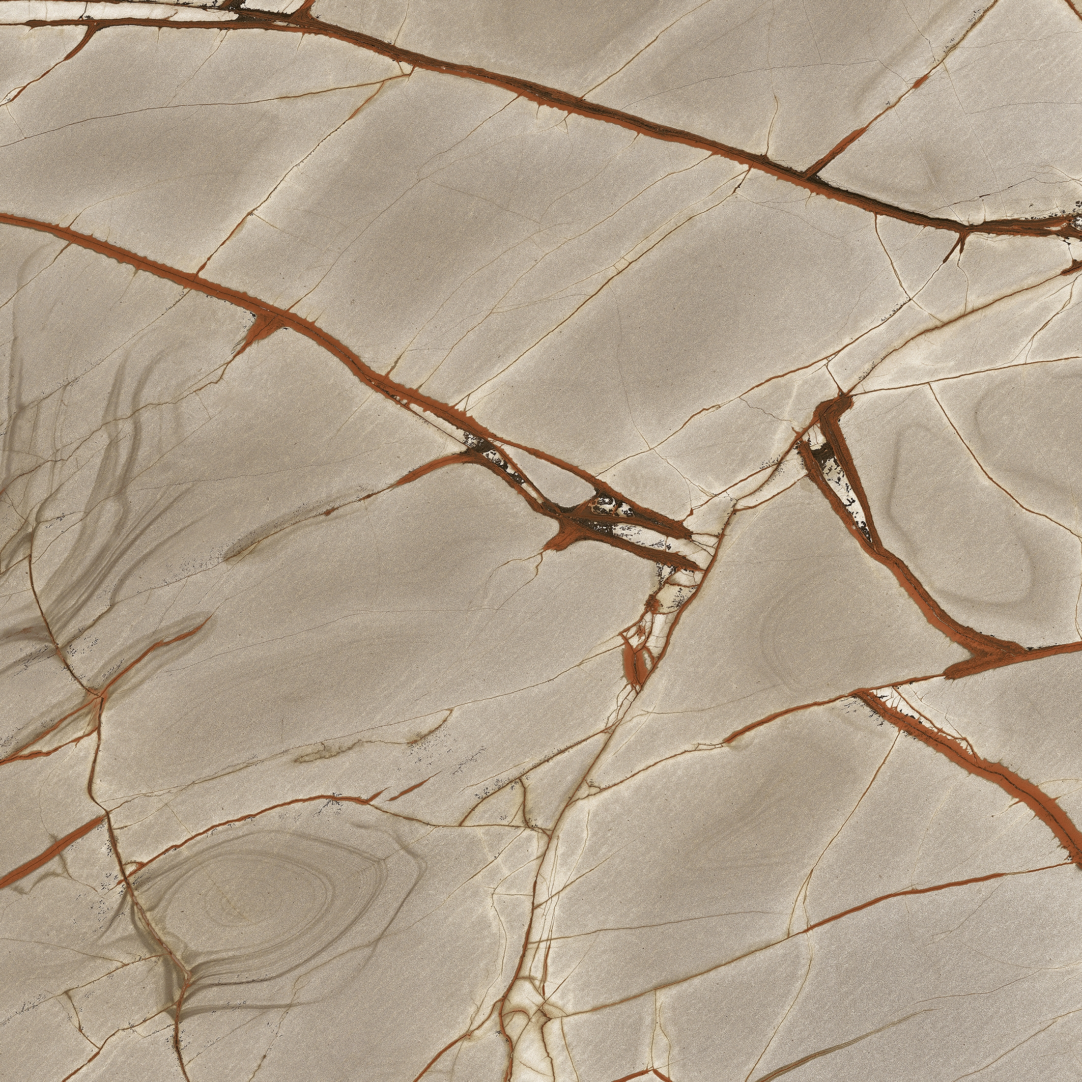 Display product Nature Mood | Rainforest from manufacturer FLORIM