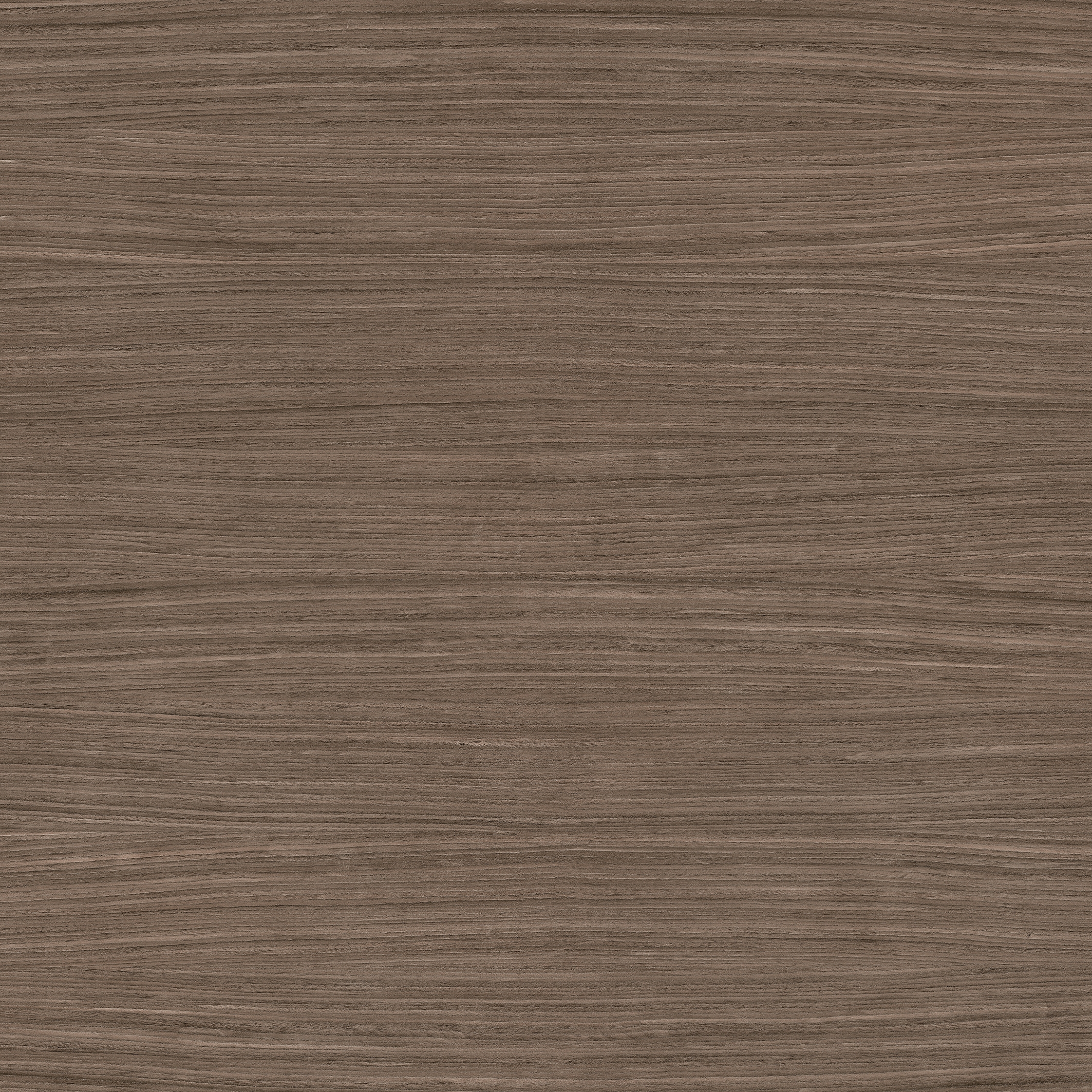 Nature Mood | Plank 02